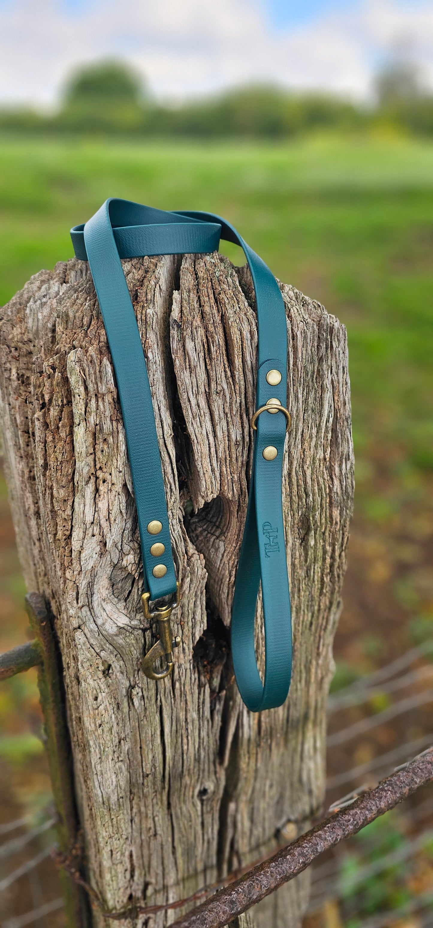 DARK GREEN - Waterproof BioThane© Dog Collar & Lead