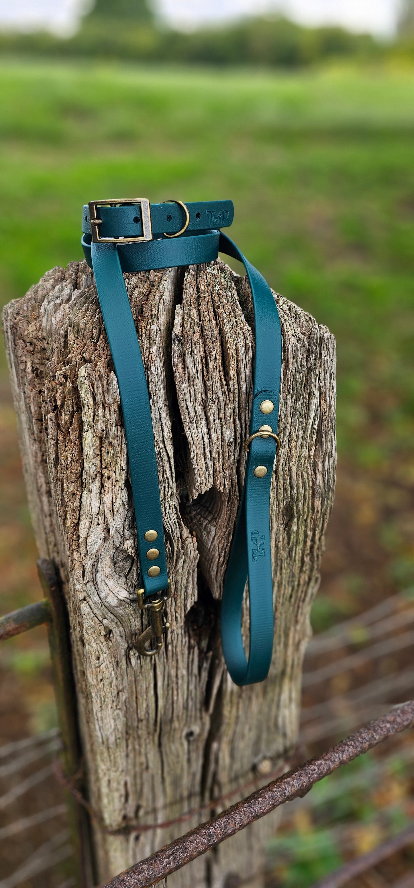 DARK GREEN - Waterproof BioThane© Dog Collar & Lead