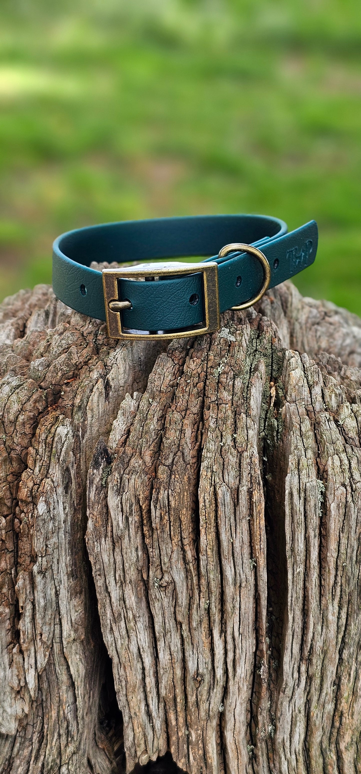 DARK GREEN - Waterproof BioThane© Dog Collar & Lead