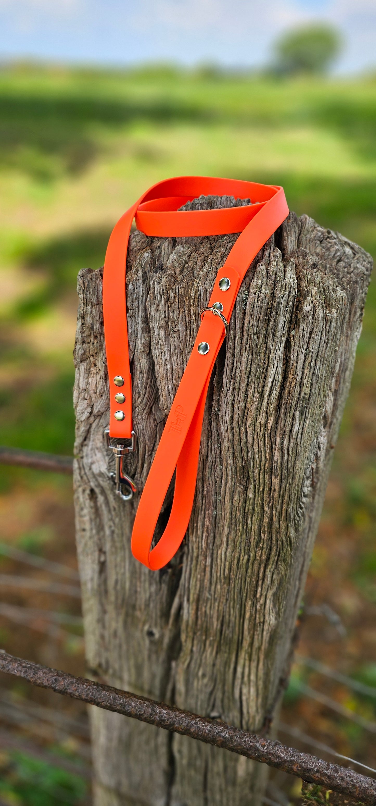 NEON ORANGE - Waterproof BioThane© Dog Collar/Lead/Bundle