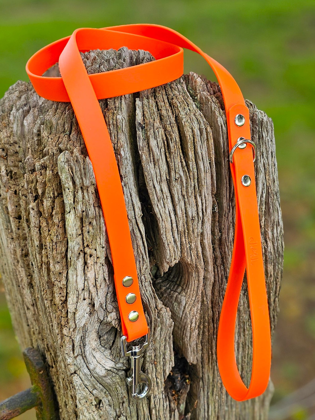 Neon Orange - Classic Waterproof BioThane© Dog Lead