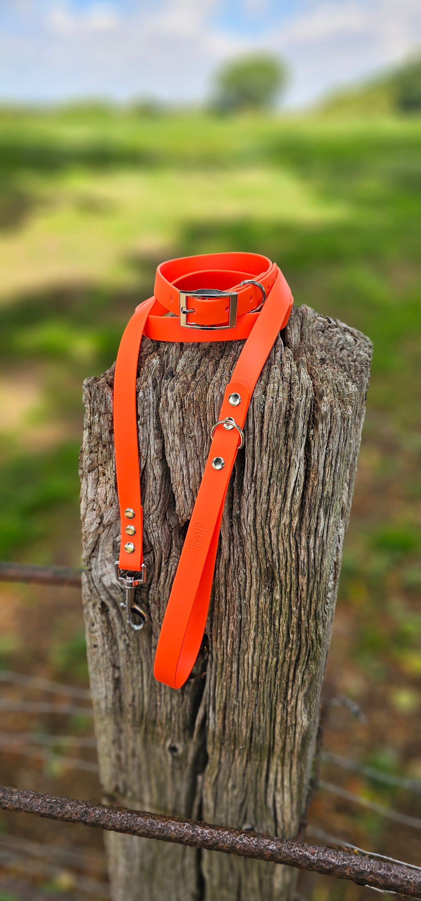 NEON ORANGE - Waterproof BioThane© Dog Collar/Lead/Bundle