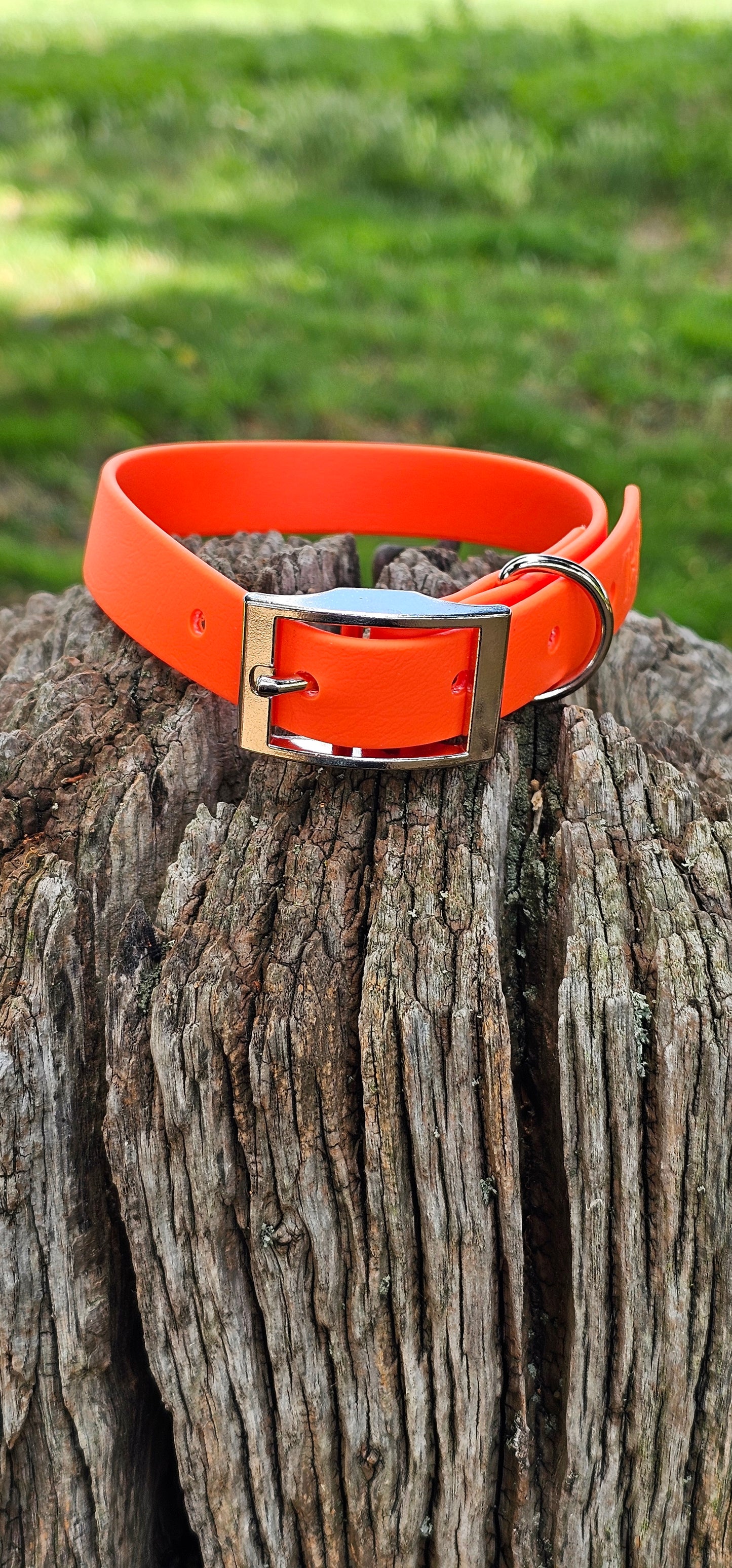 NEON ORANGE - Waterproof BioThane© Dog Collar/Lead/Bundle