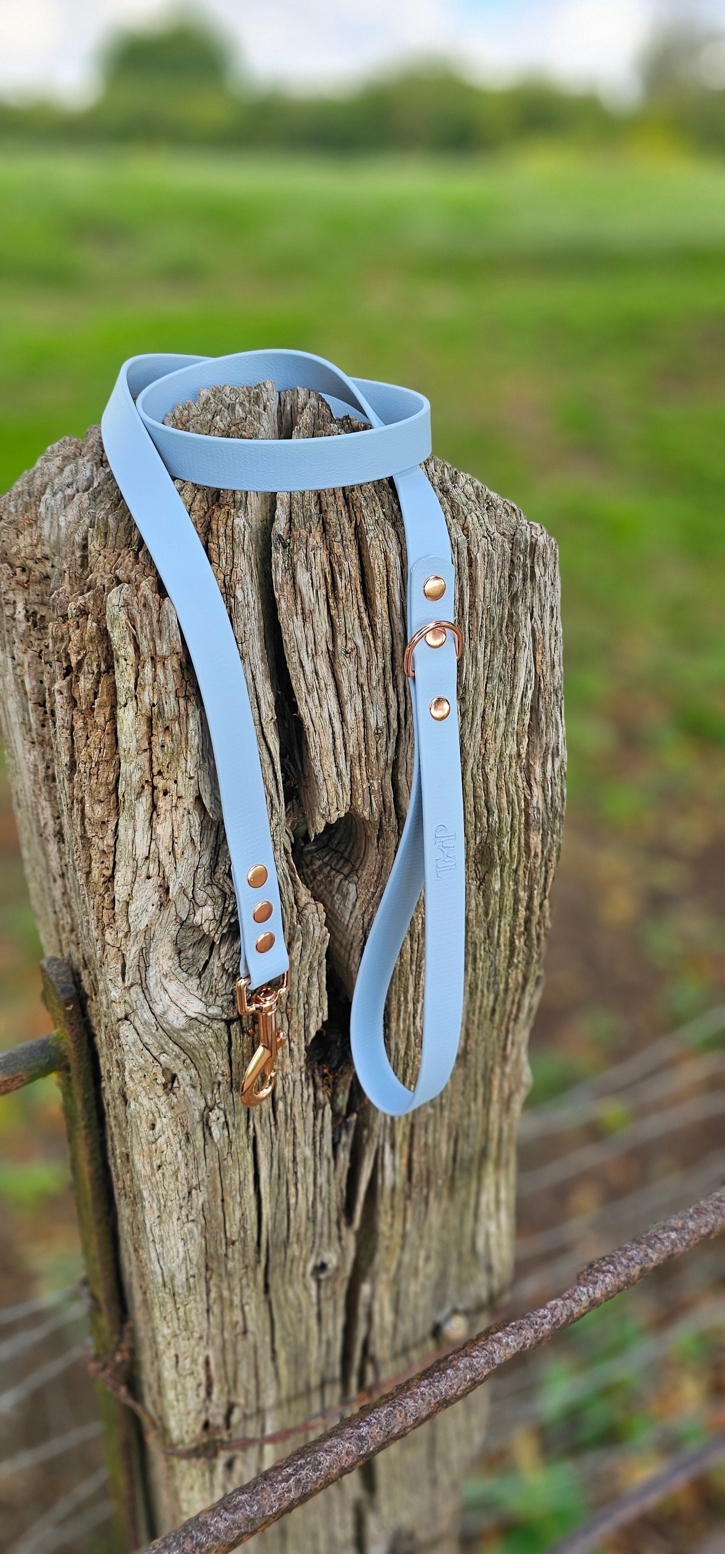PASTEL BLUE - Waterproof BioThane© Dog Collar / Dog Lead