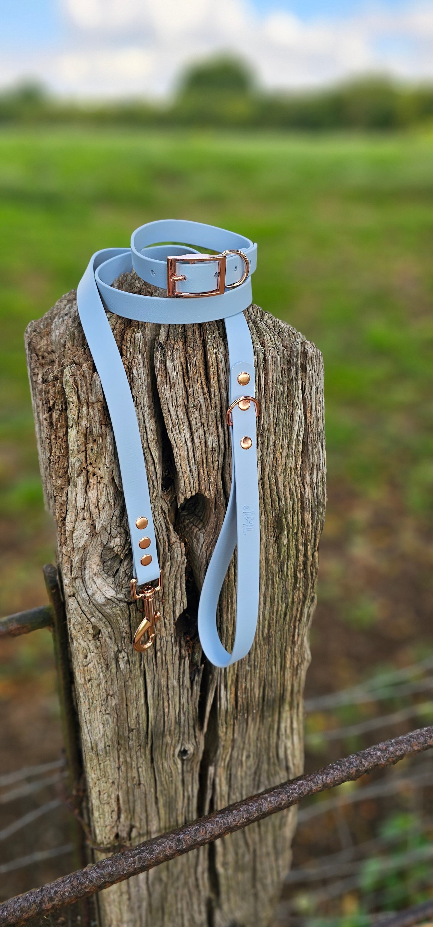PASTEL BLUE - Waterproof BioThane© Dog Collar / Dog Lead