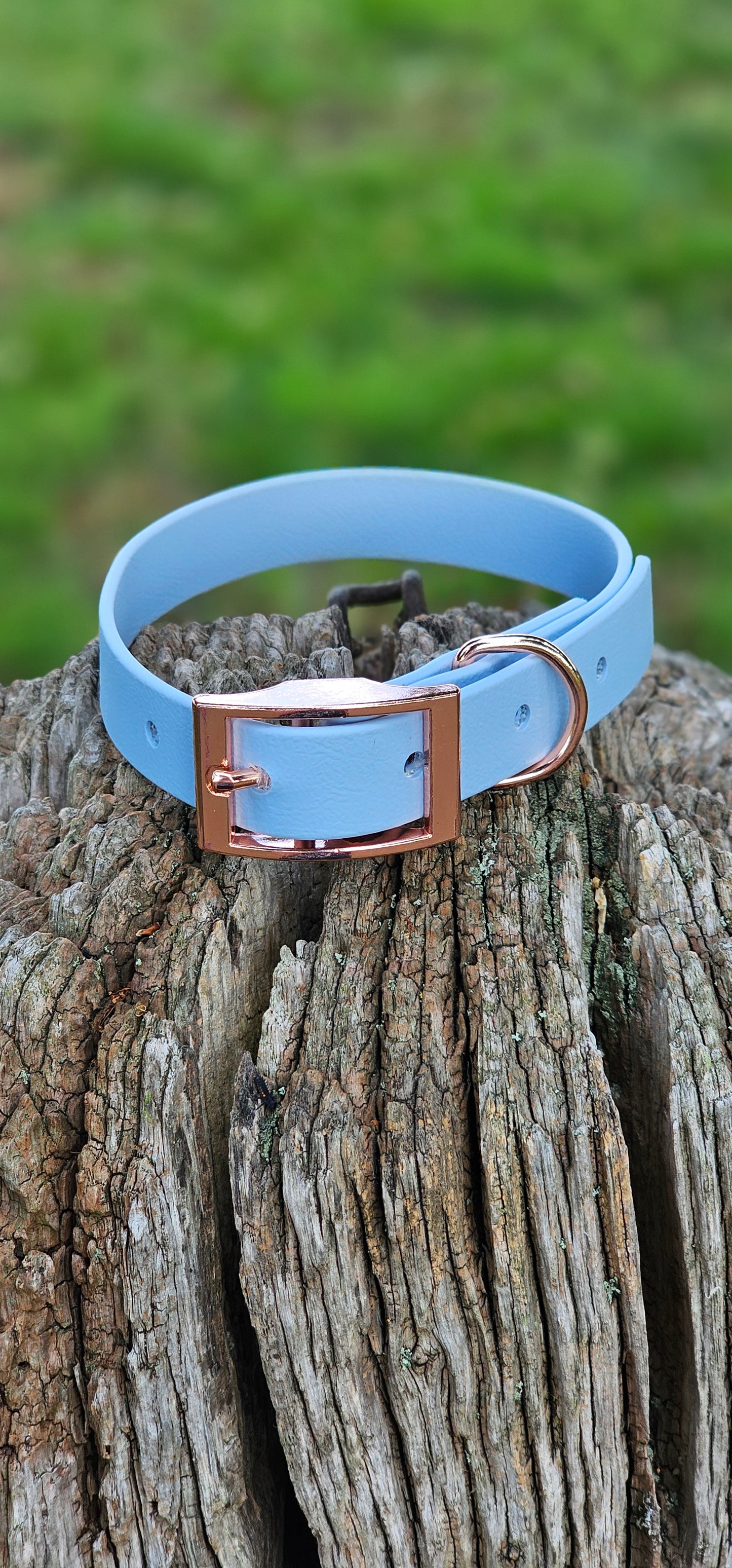 PASTEL BLUE - Waterproof BioThane© Dog Collar / Dog Lead