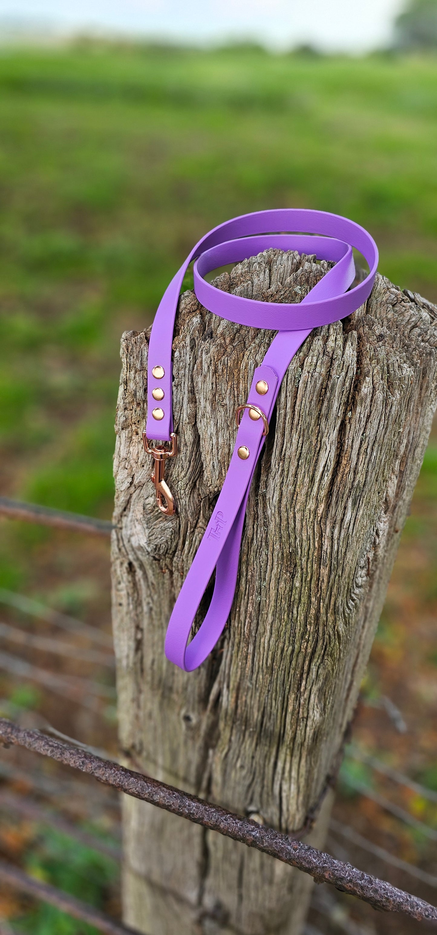 AMETHYST - Waterproof BioThane© Dog Collar & Lead