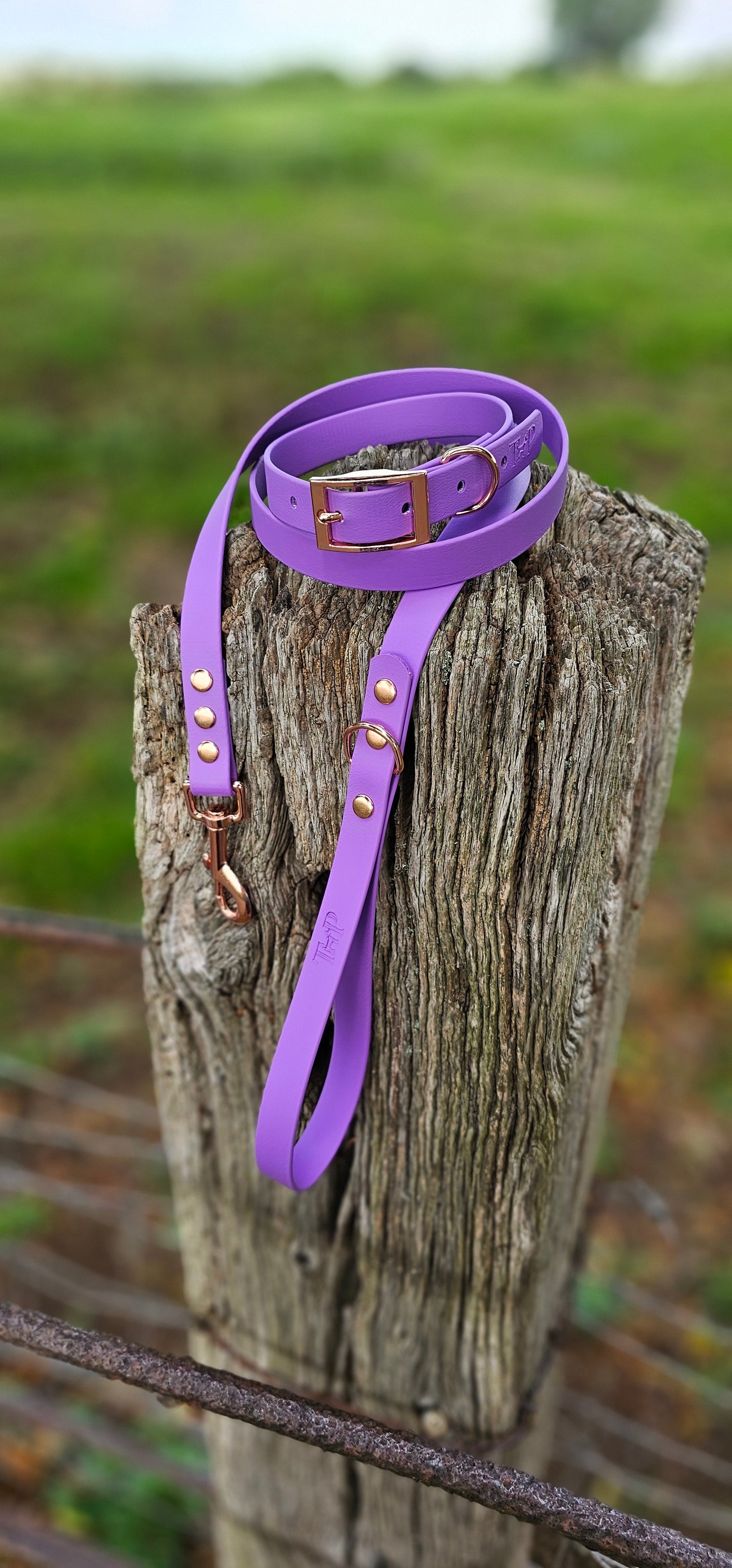 AMETHYST - Waterproof BioThane© Dog Collar & Lead