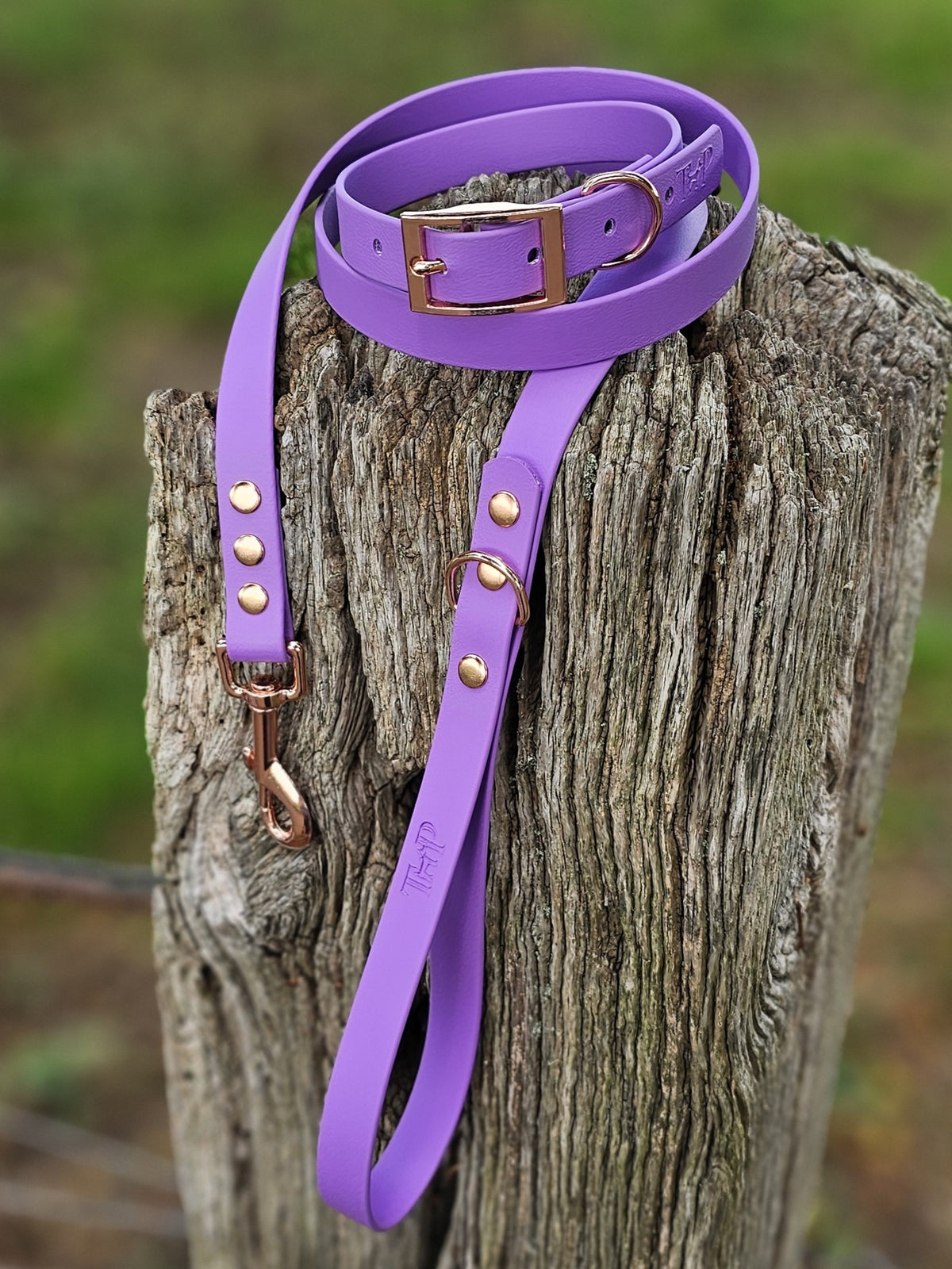 Amethyst - Classic Waterproof BioThane© Dog Lead