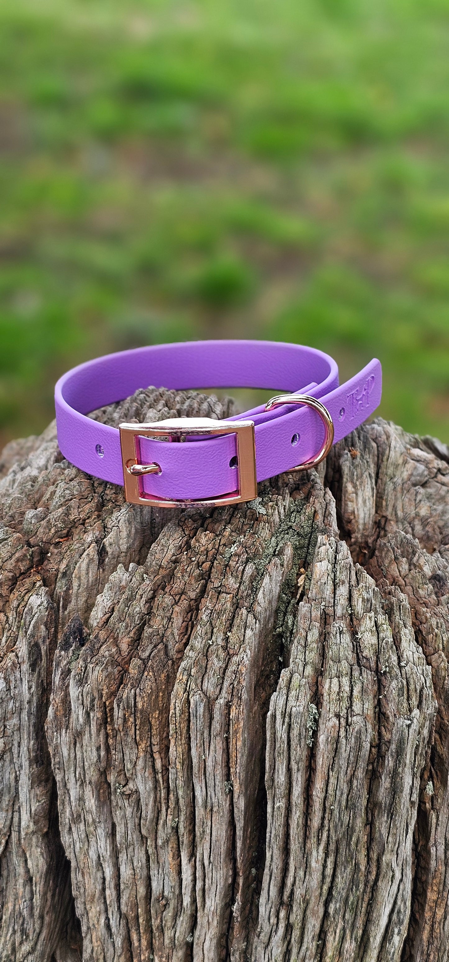 AMETHYST - Waterproof BioThane© Dog Collar & Lead