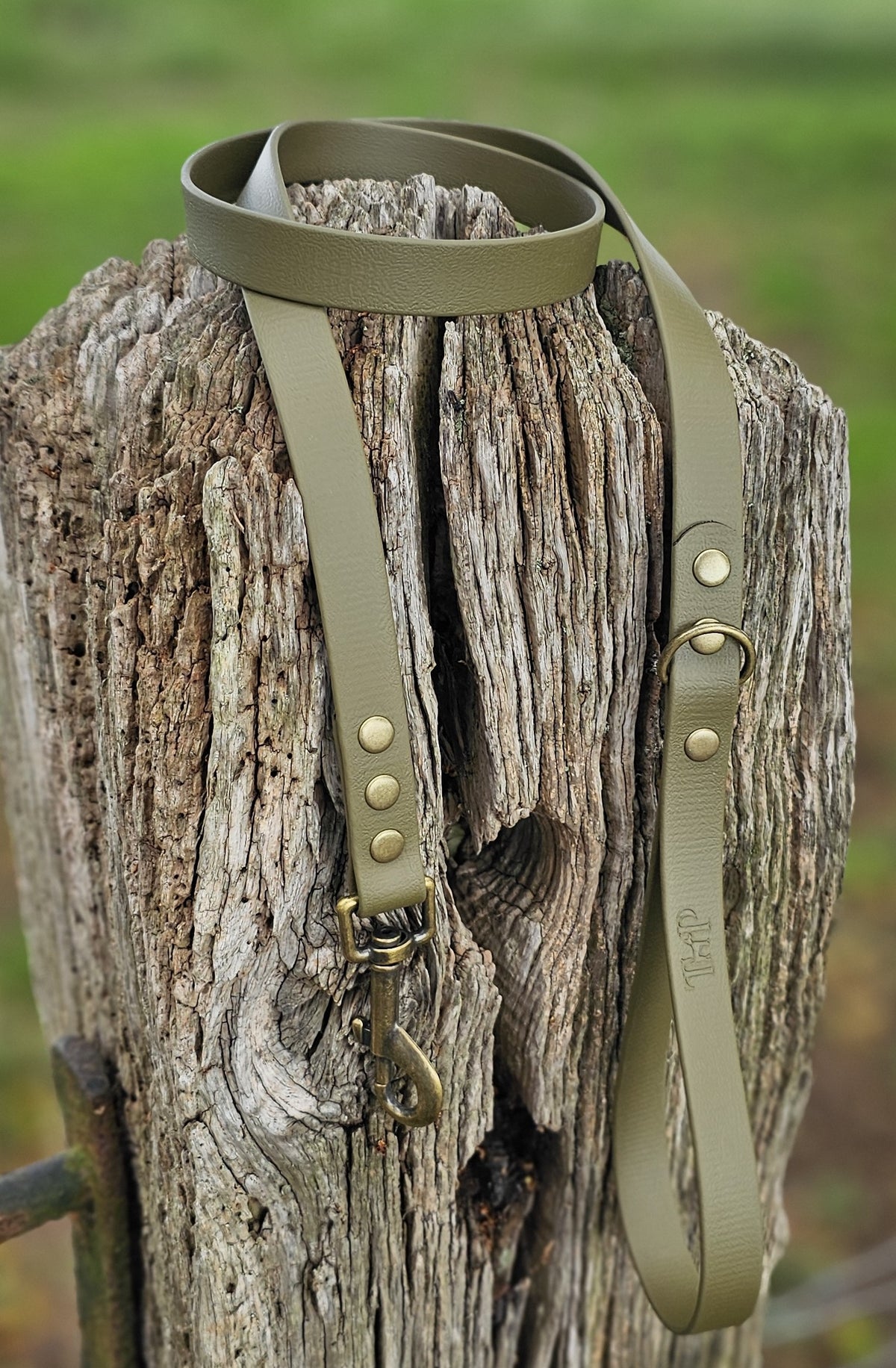 Olive - Classic Waterproof BioThane© Dog Lead