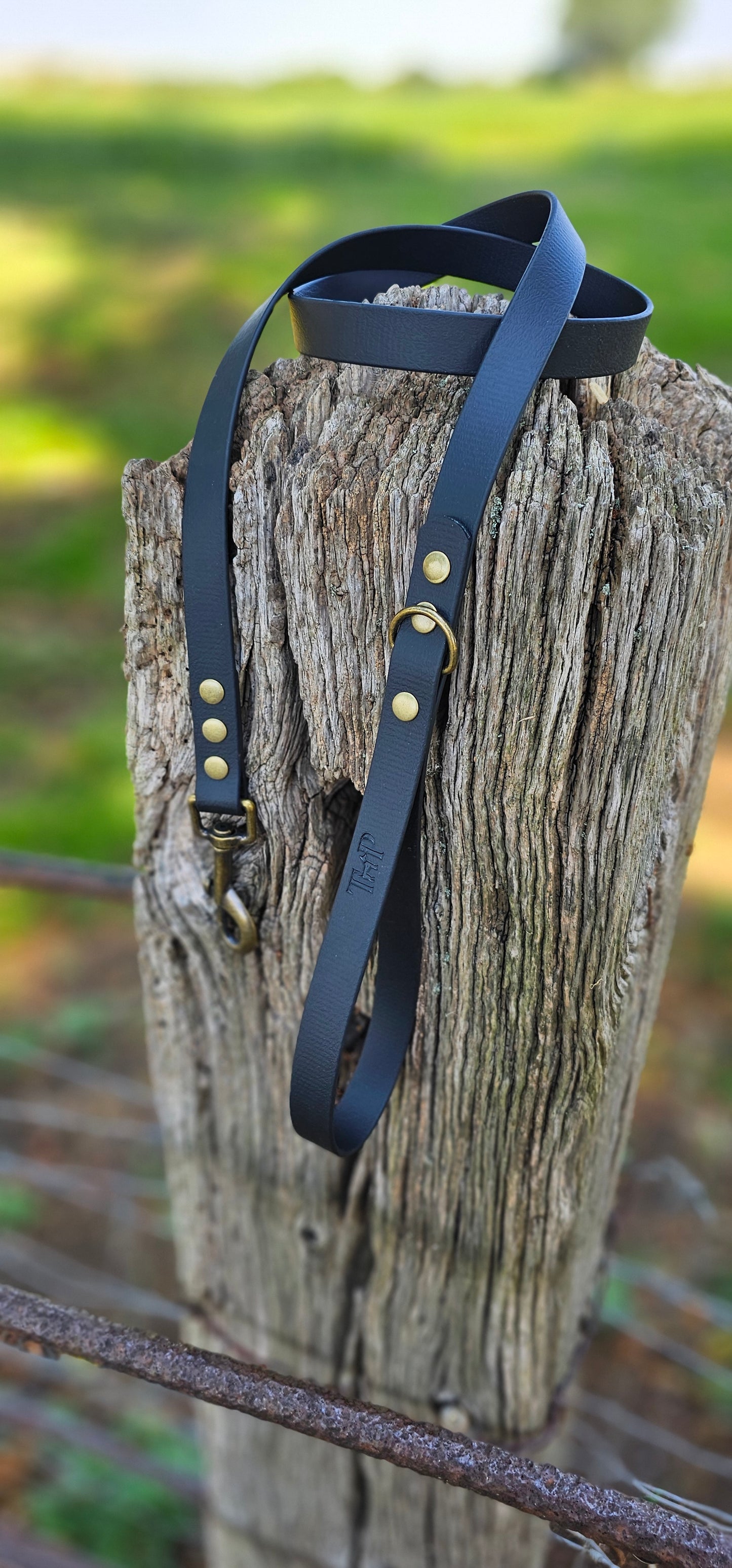 BLACK - Waterproof BioThane© Dog Collar & Lead