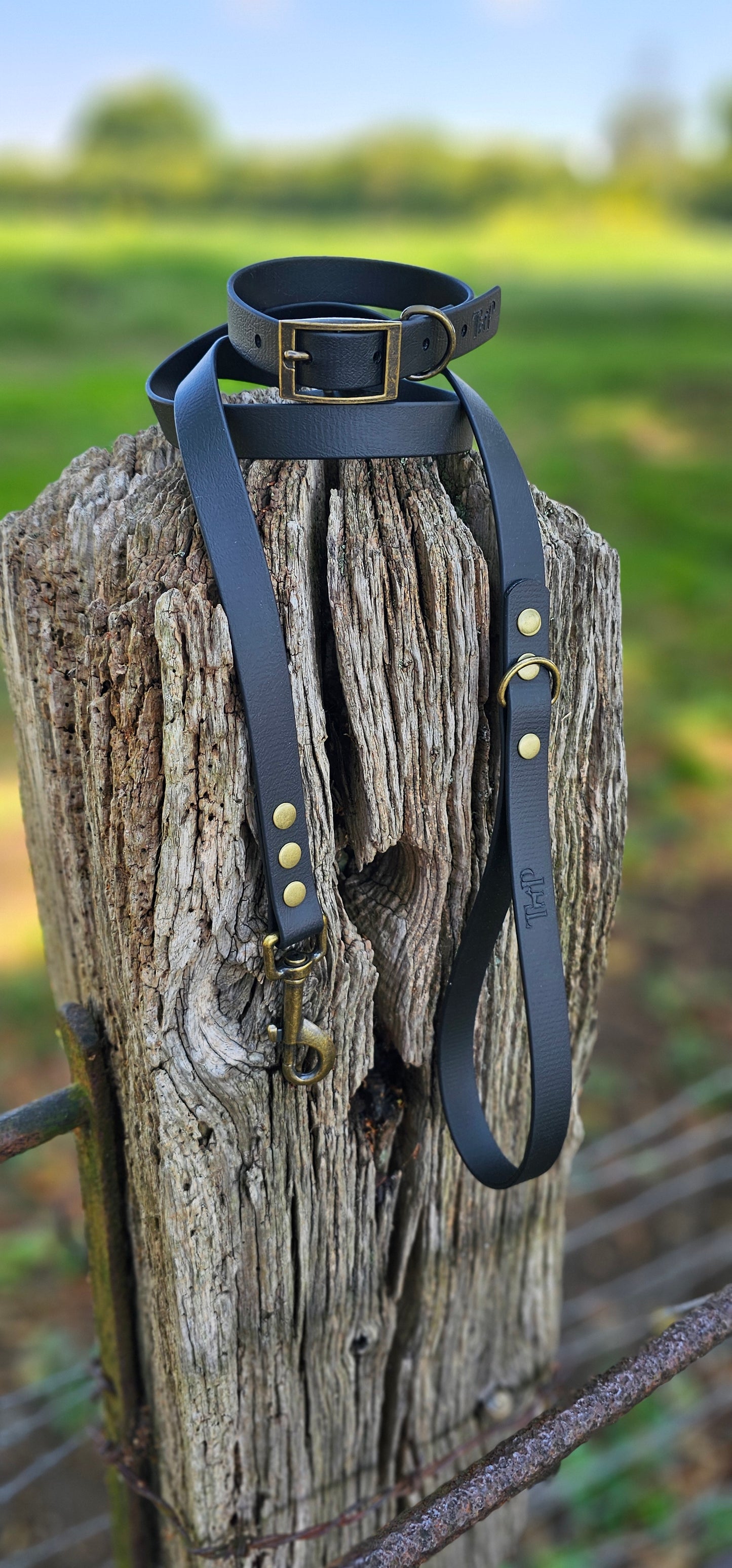 BLACK - Waterproof BioThane© Dog Collar & Lead