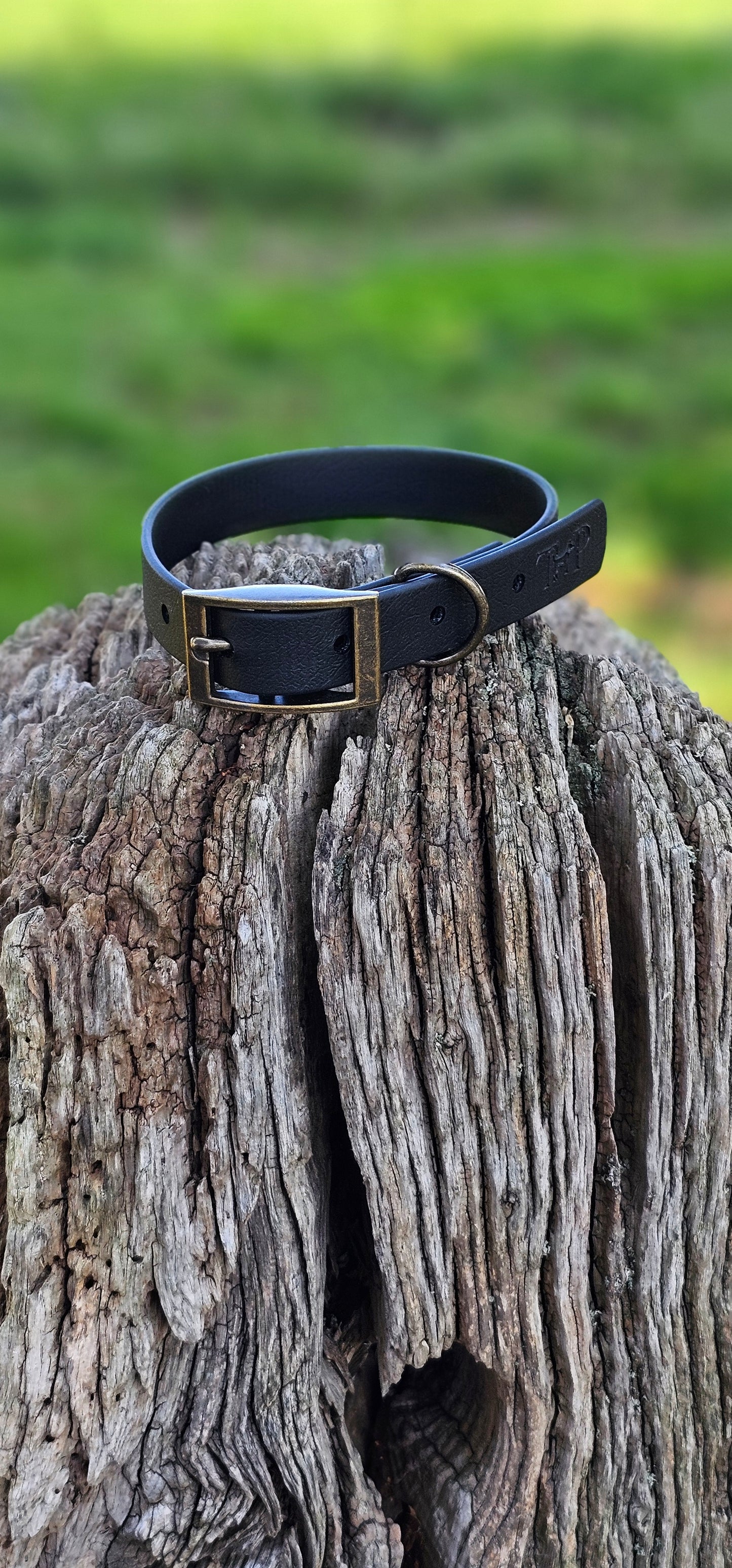 BLACK - Waterproof BioThane© Dog Collar & Lead