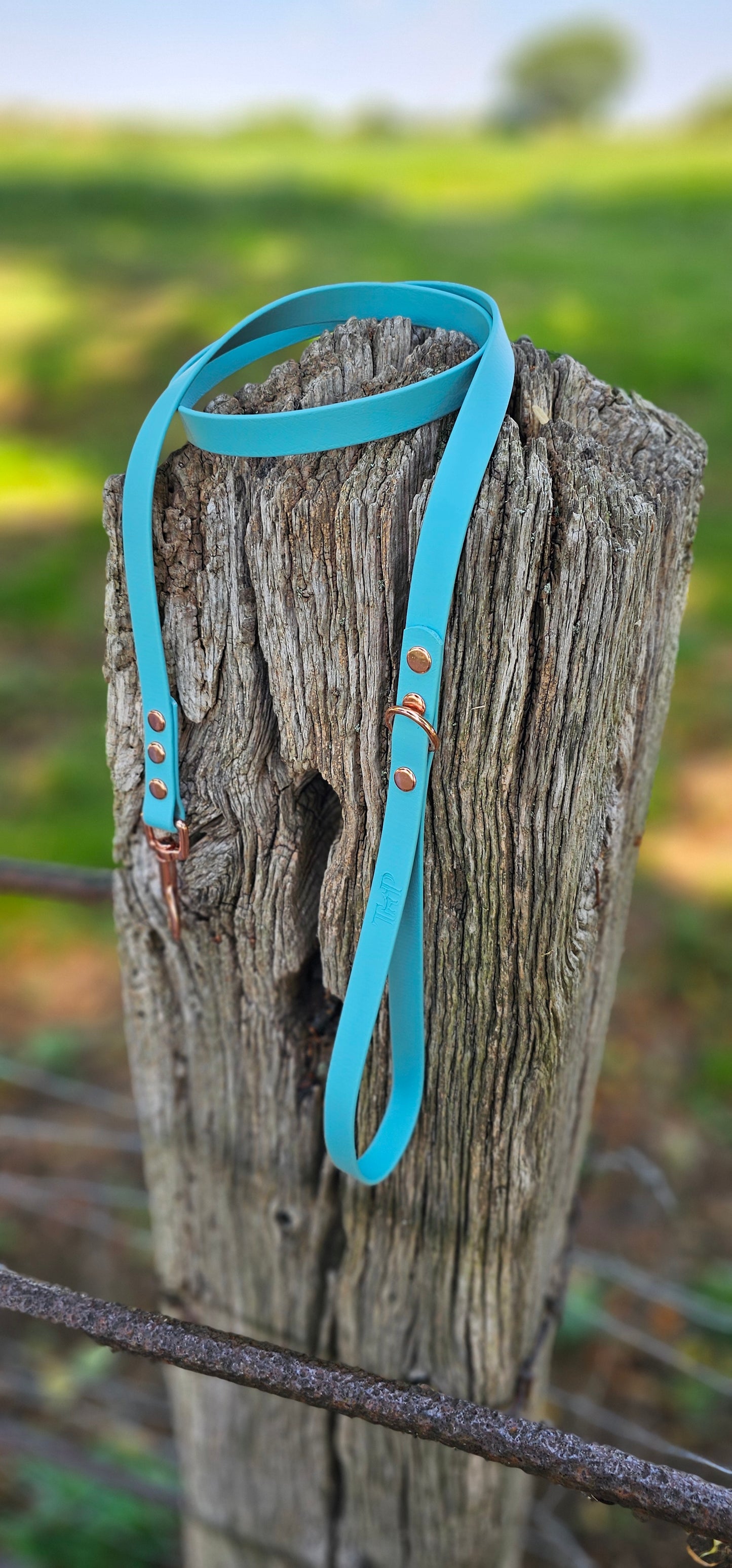 TURQUOISE - Waterproof BioThane© Dog Collar/Lead/Bundle