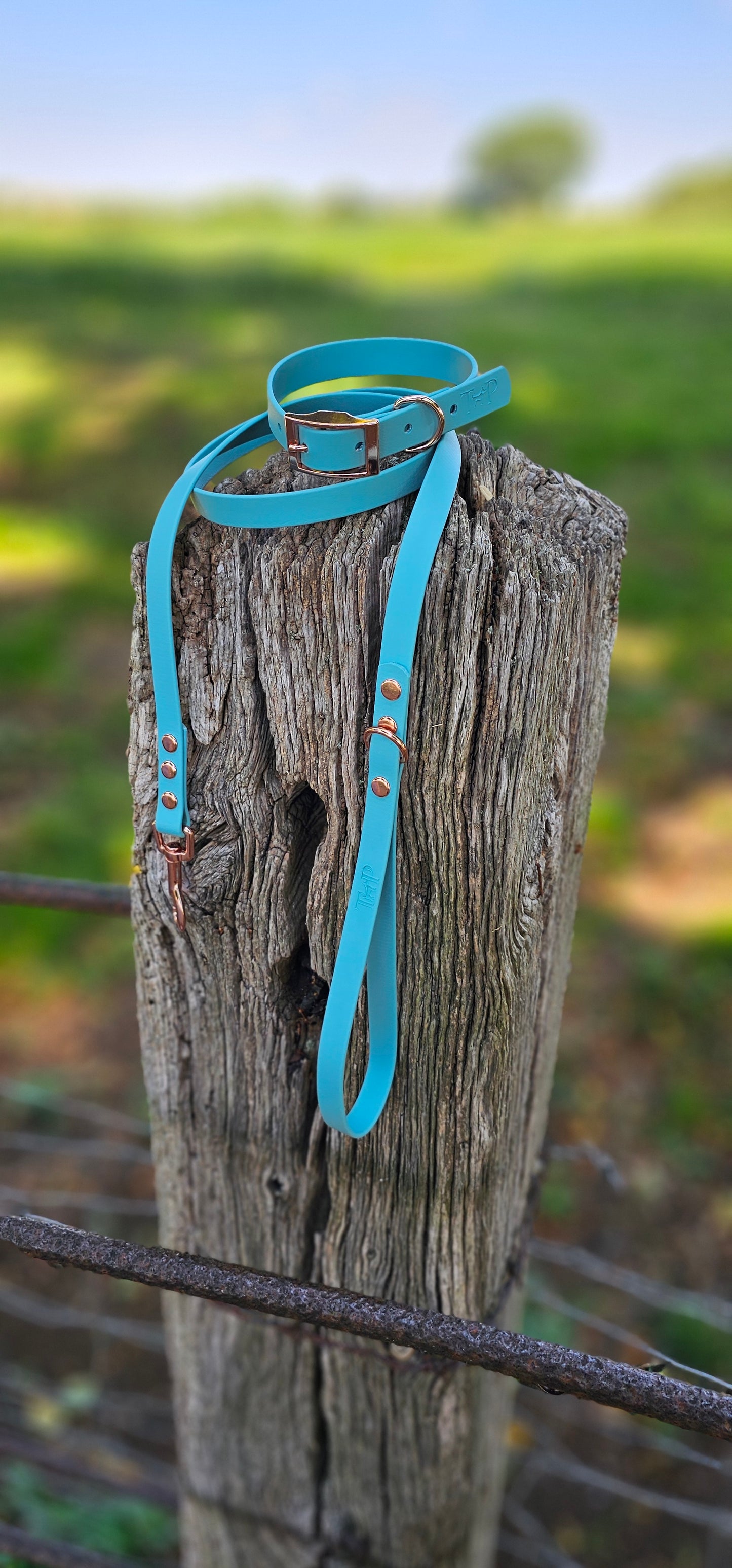 TURQUOISE - Waterproof BioThane© Dog Collar/Lead/Bundle