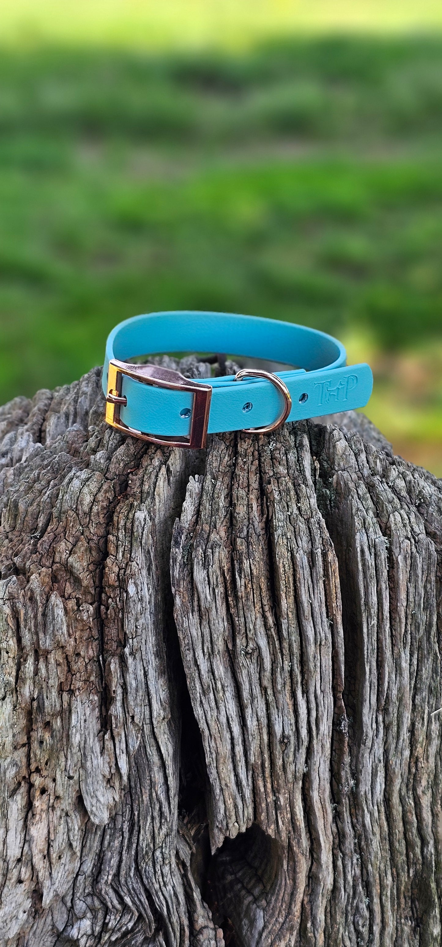 TURQUOISE - Waterproof BioThane© Dog Collar/Lead/Bundle