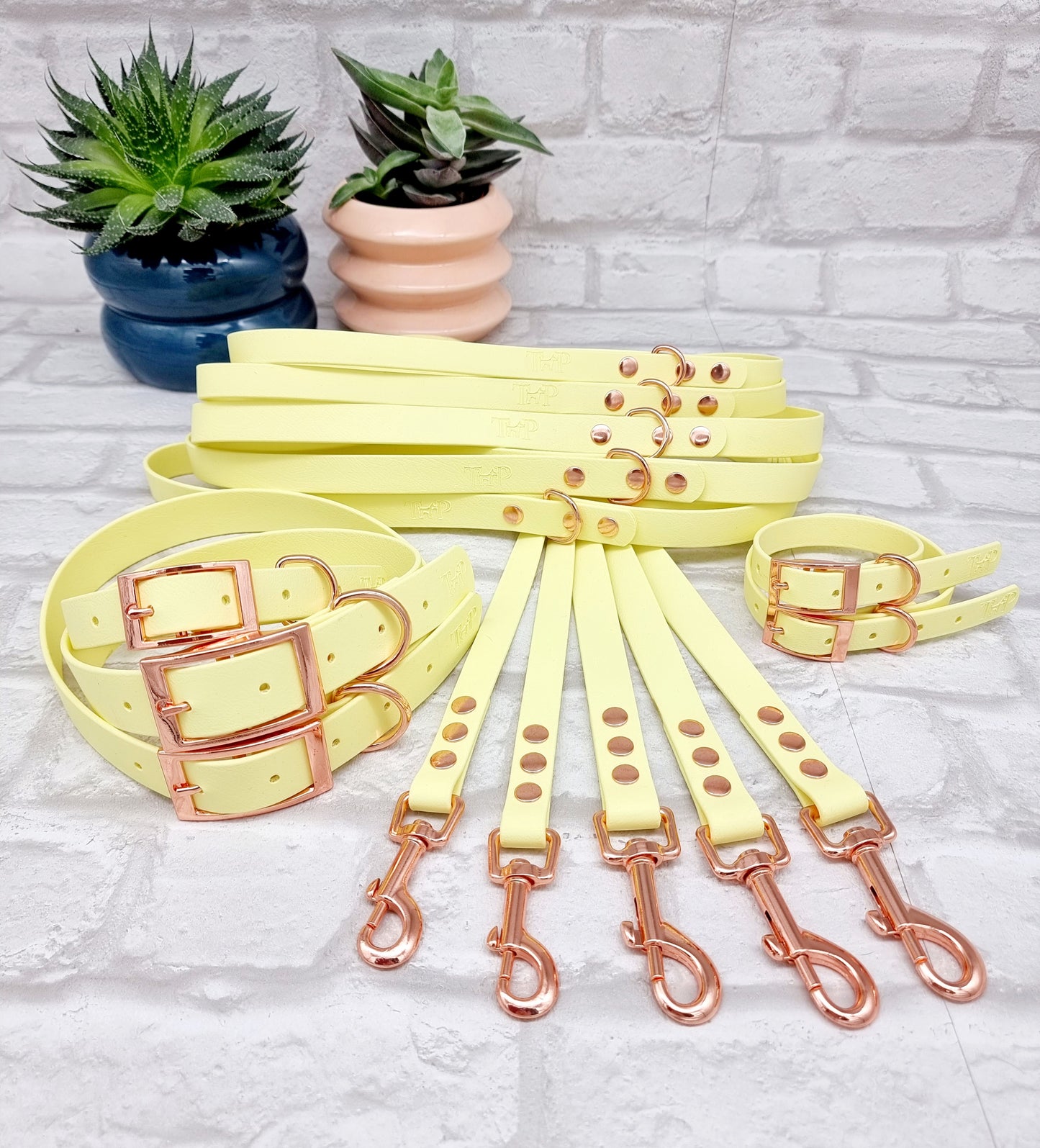 LEMON - Waterproof BioThane© Dog Collar/Lead/Bundle
