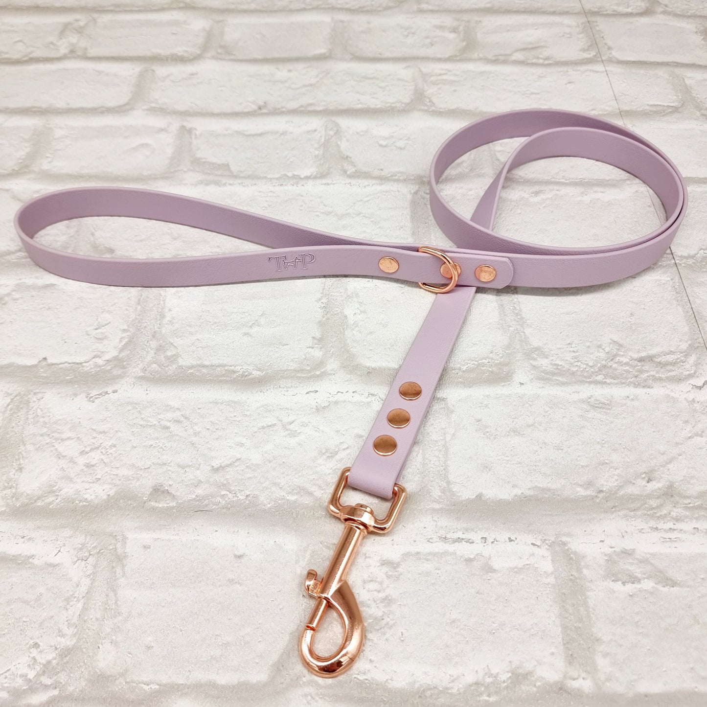 JfP - Waterproof BioThane© Dog Leads (various colours)