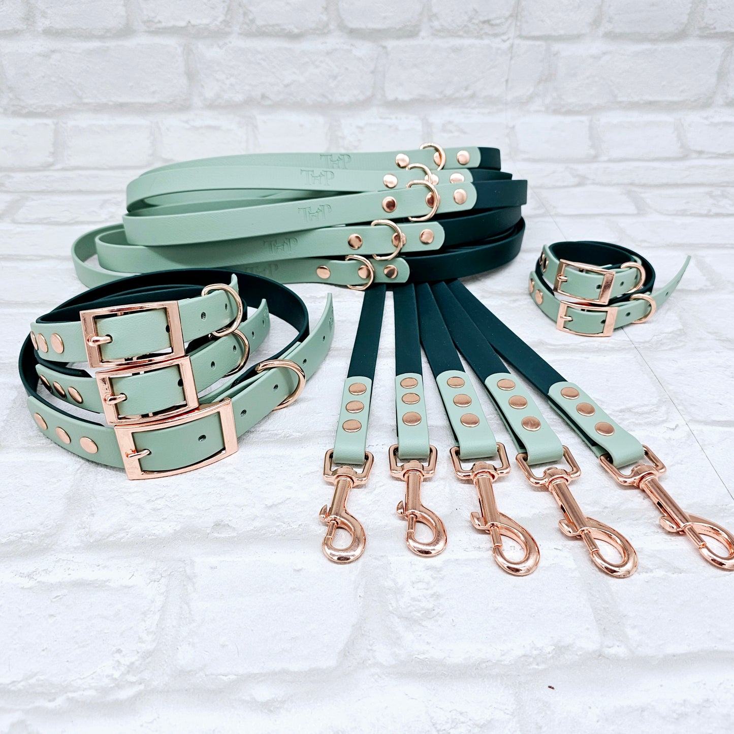 Ombre Collection BioThane© waterproof 2-coloured Starter Bundle