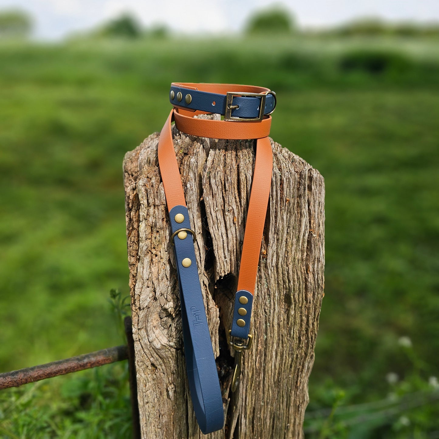 LIGHT BROWN / KEROSENE - Waterproof BioThane© 2-coloured Dog Collar/Lead/Bundle