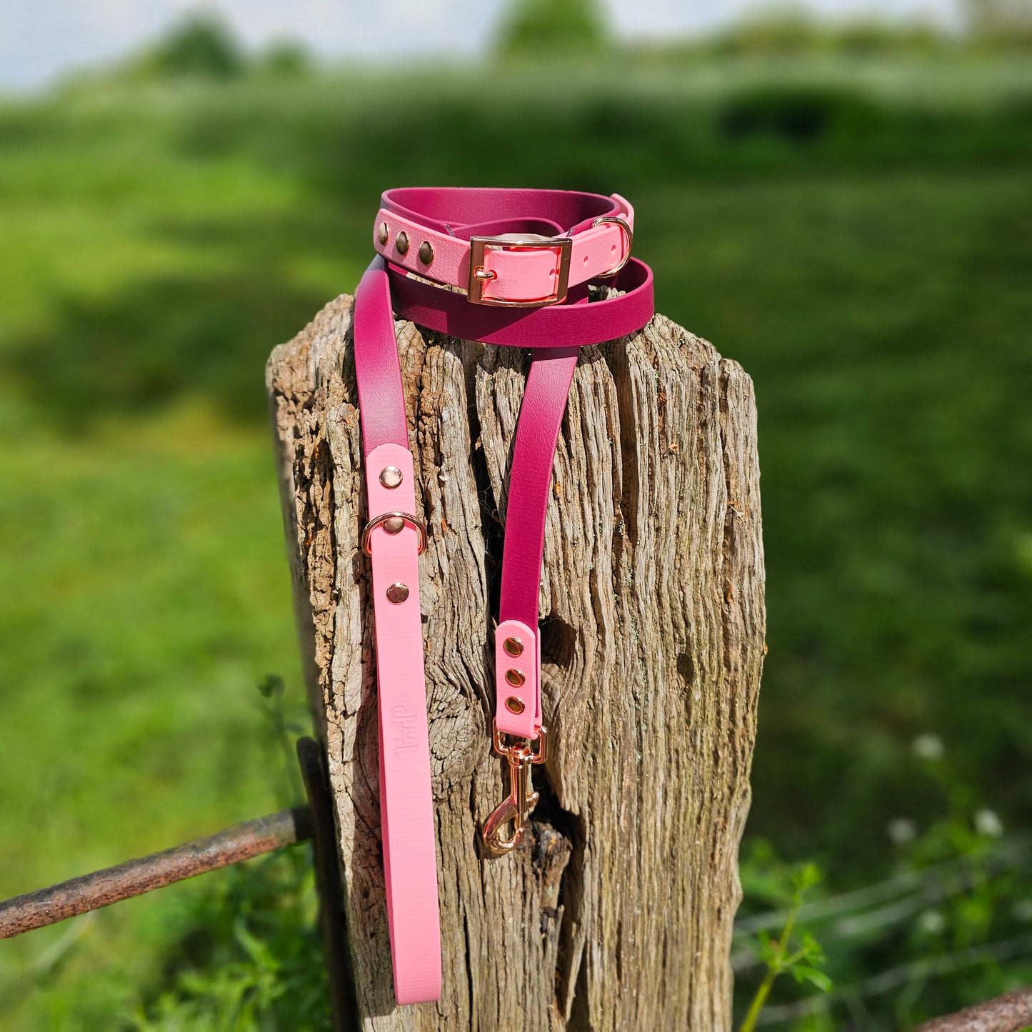 BURGUNDY / BABY PINK - Waterproof BioThane© 2-coloured Dog Collar/Lead/Set/Bundle