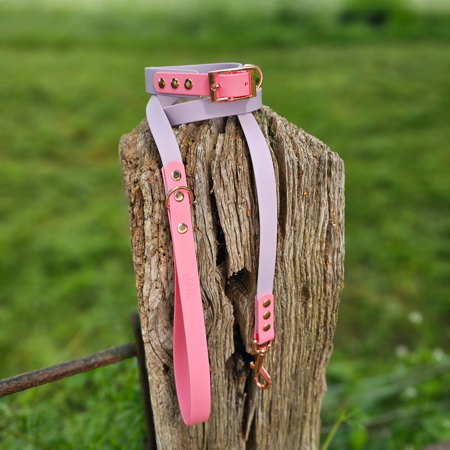 LILAC / BABY PINK - Waterproof BioThane© 2-coloured Dog Collar/Lead/Bundle