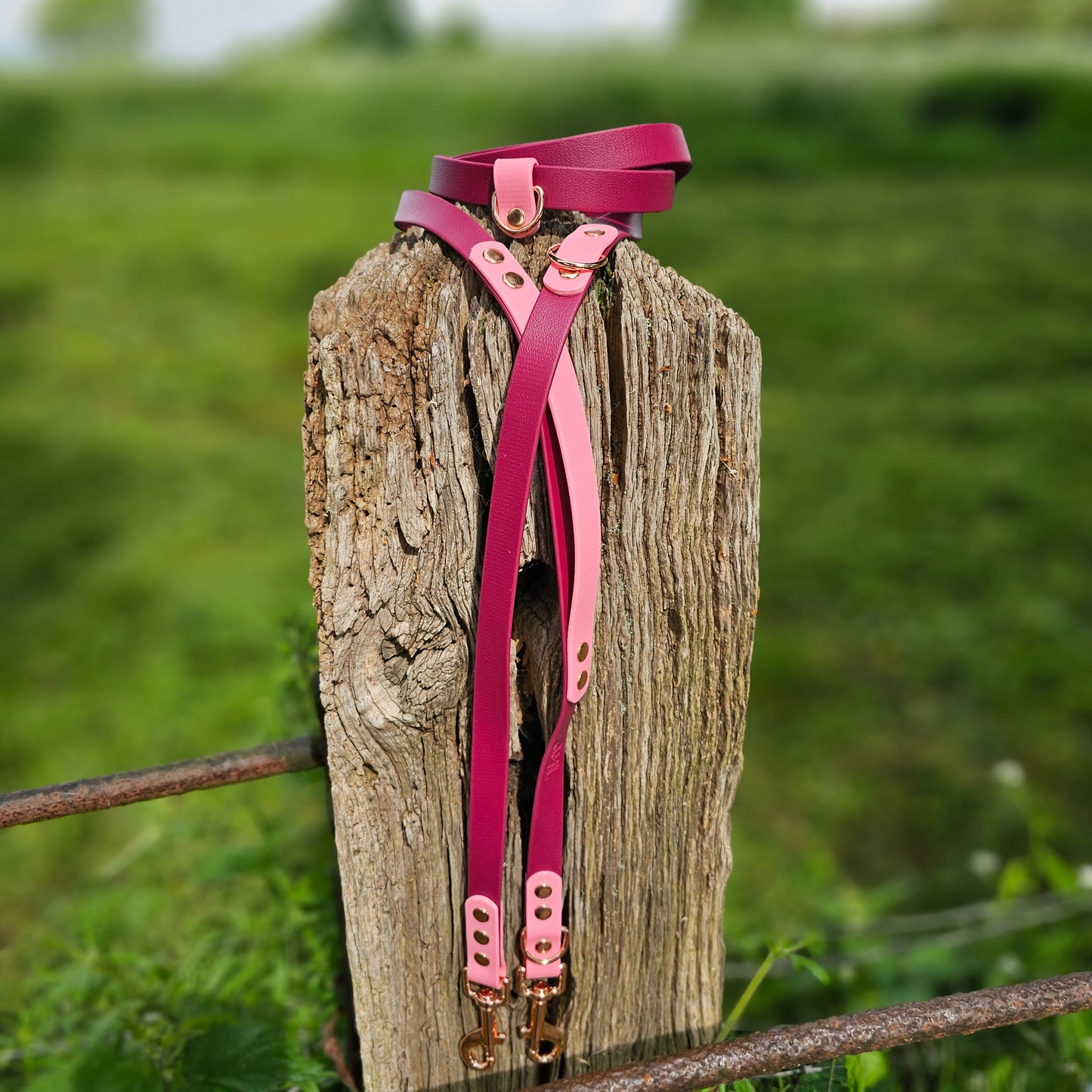 Ombre Collection - BioThane® waterproof Handsfree Dog Training Lead / Multiway Dog Lead