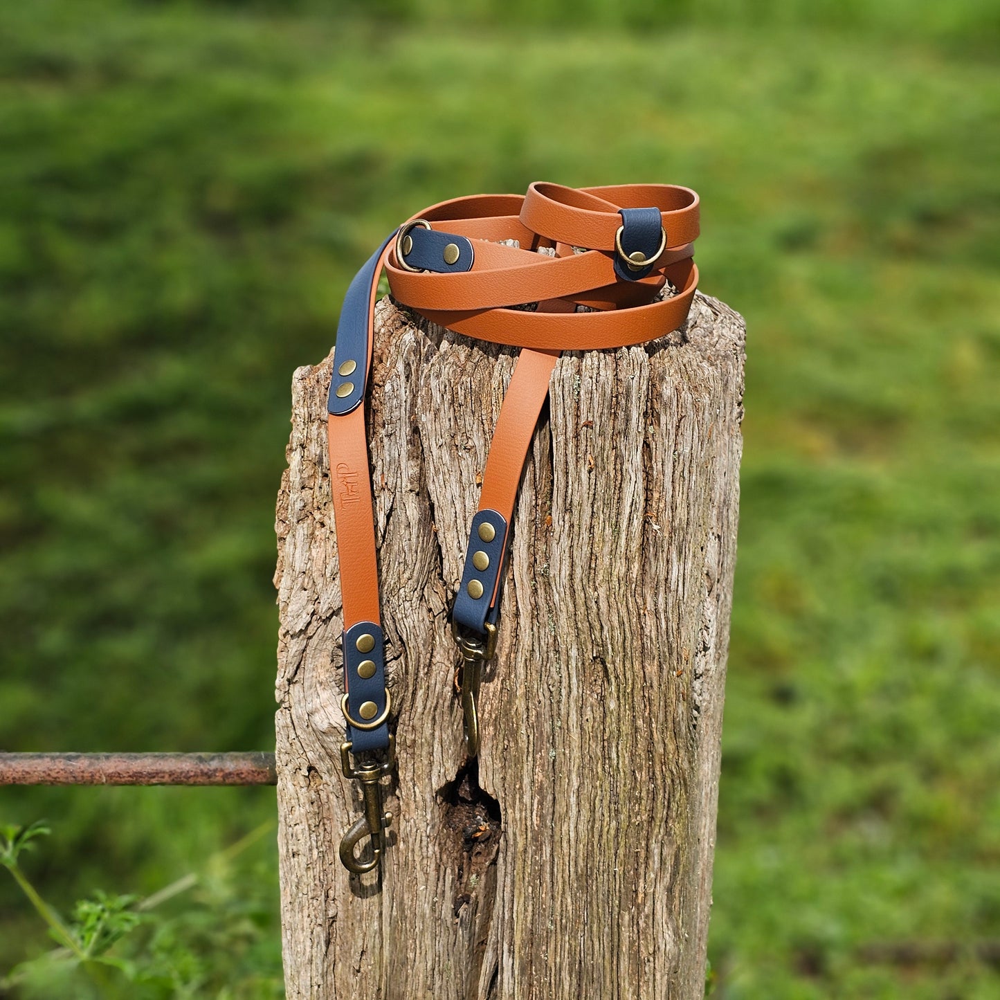 PAF - BioThane® waterproof Handsfree Dog Training Lead / Multiway Dog Lead