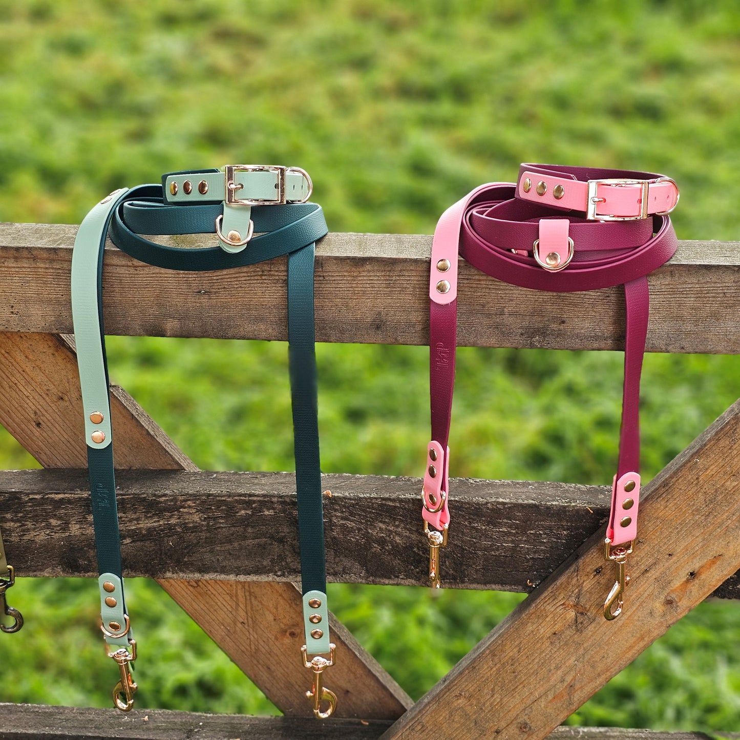 Ombre Collection - BioThane® waterproof Handsfree Dog Training Lead / Multiway Dog Lead