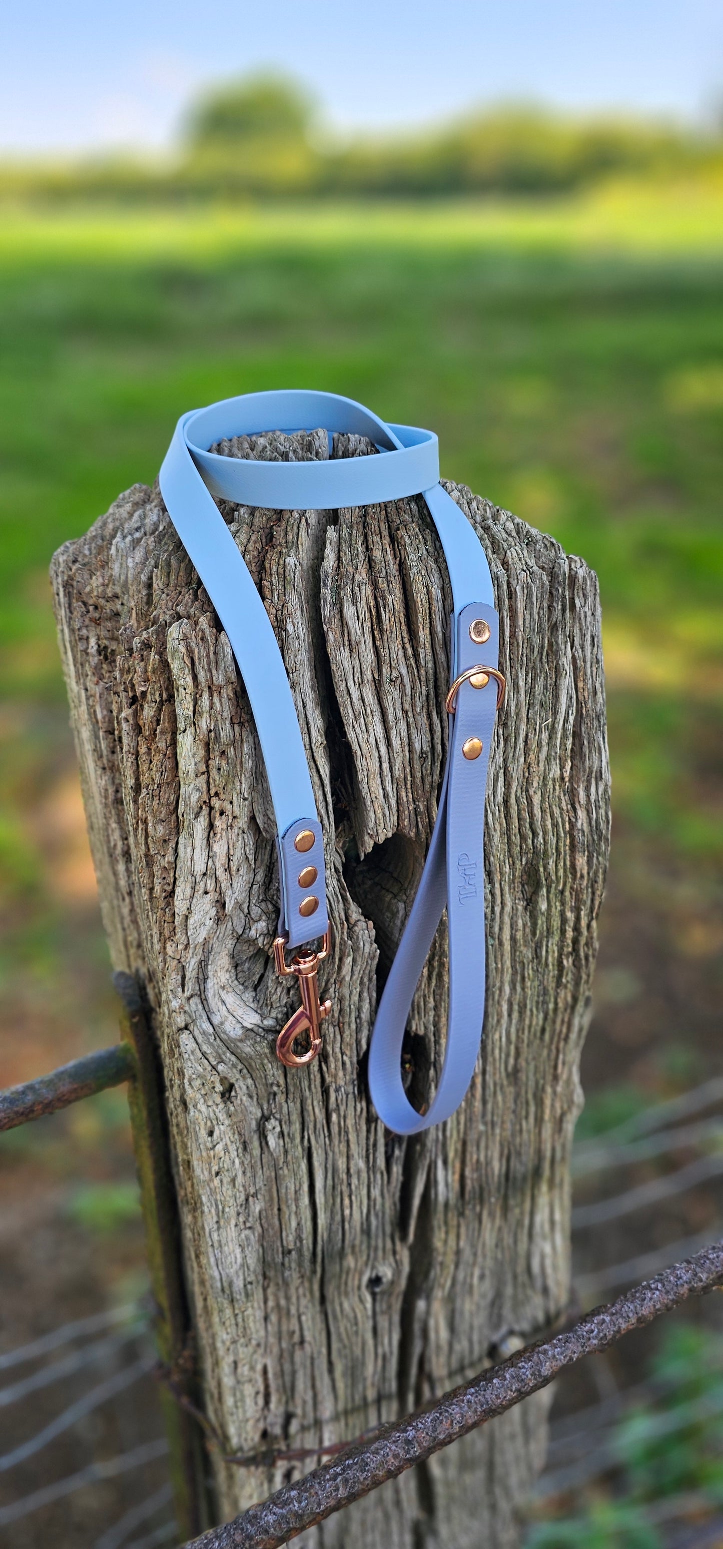 PASTEL BLUE / GREY - Waterproof BioThane© 2-coloured Dog Collar/Lead/Set/Bundle