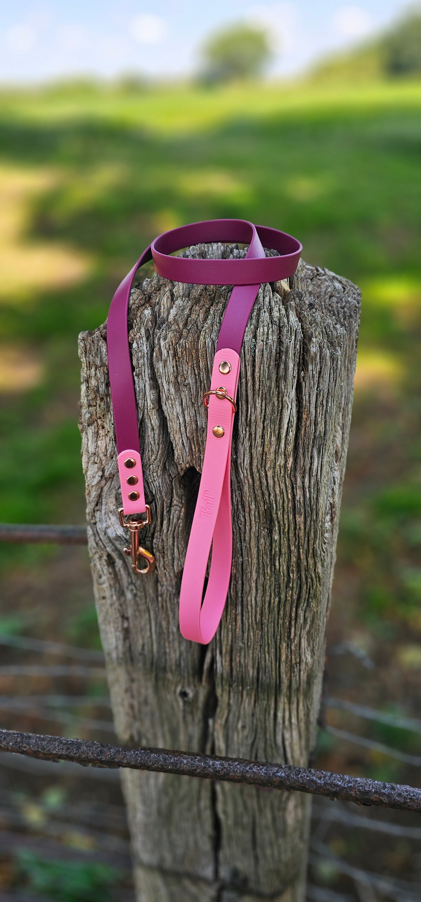 BURGUNDY / BABY PINK - Waterproof BioThane© 2-coloured Dog Collar/Lead/Set/Bundle