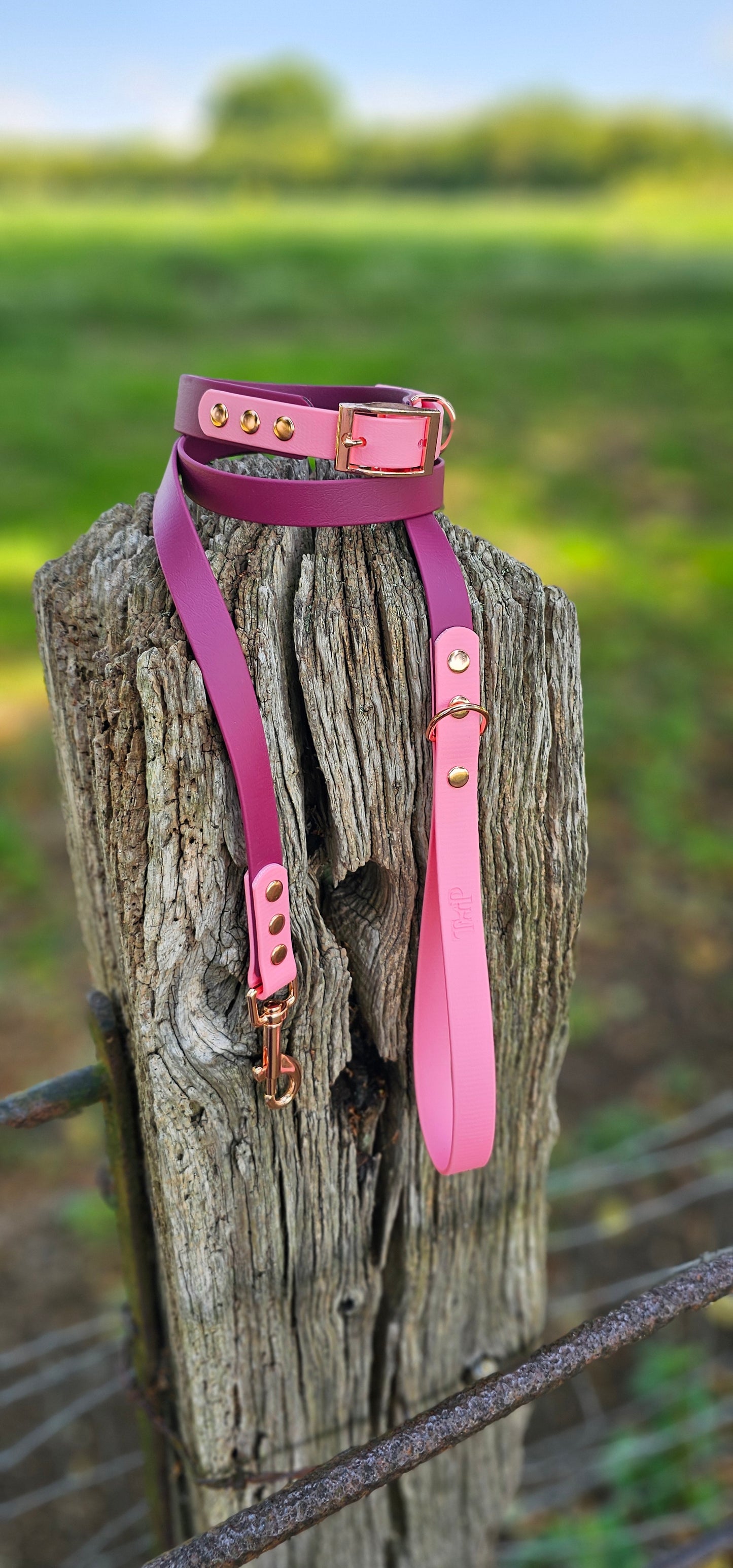 BURGUNDY / BABY PINK - Waterproof BioThane© 2-coloured Dog Collar/Lead/Set/Bundle