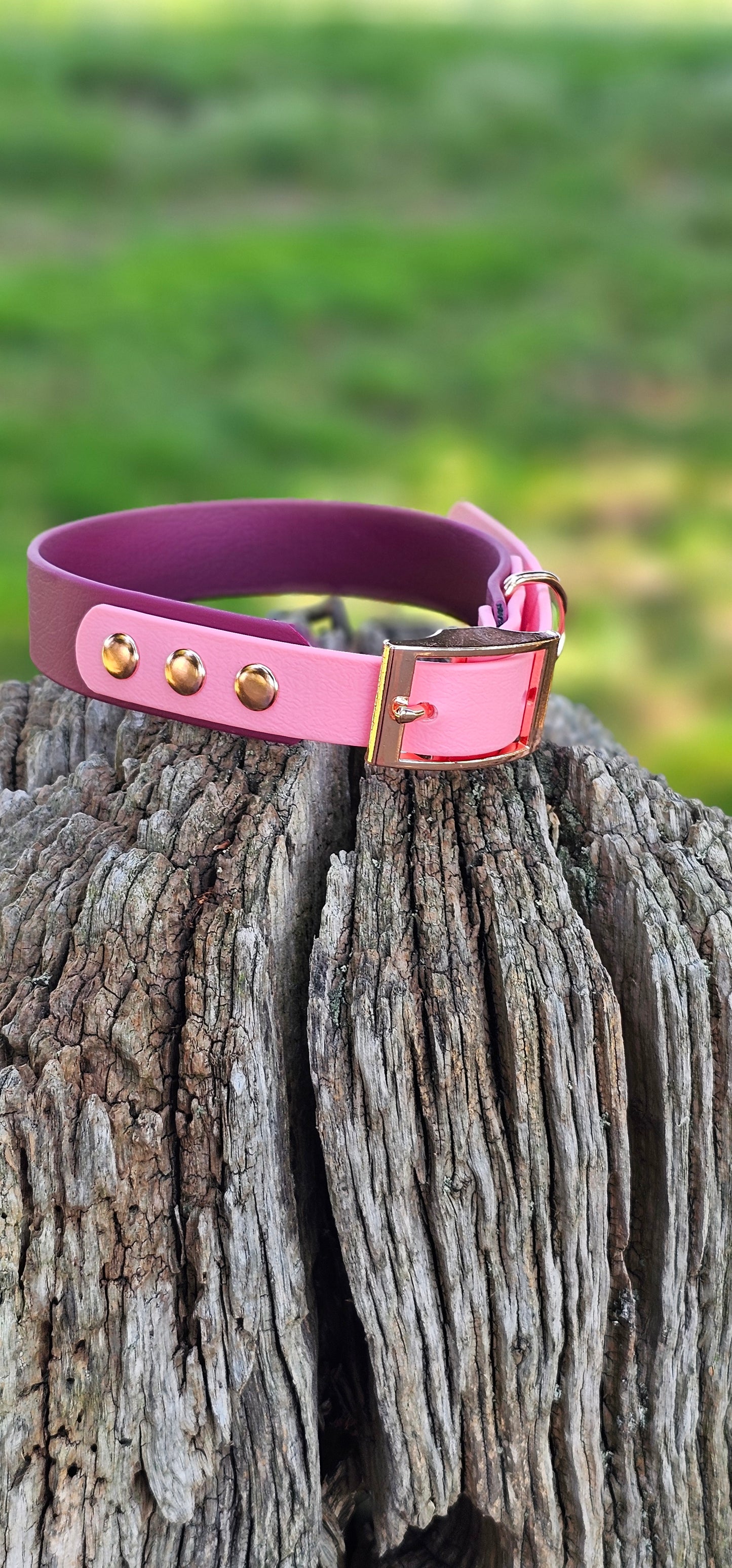 BURGUNDY / BABY PINK - Waterproof BioThane© 2-coloured Dog Collar/Lead/Set/Bundle