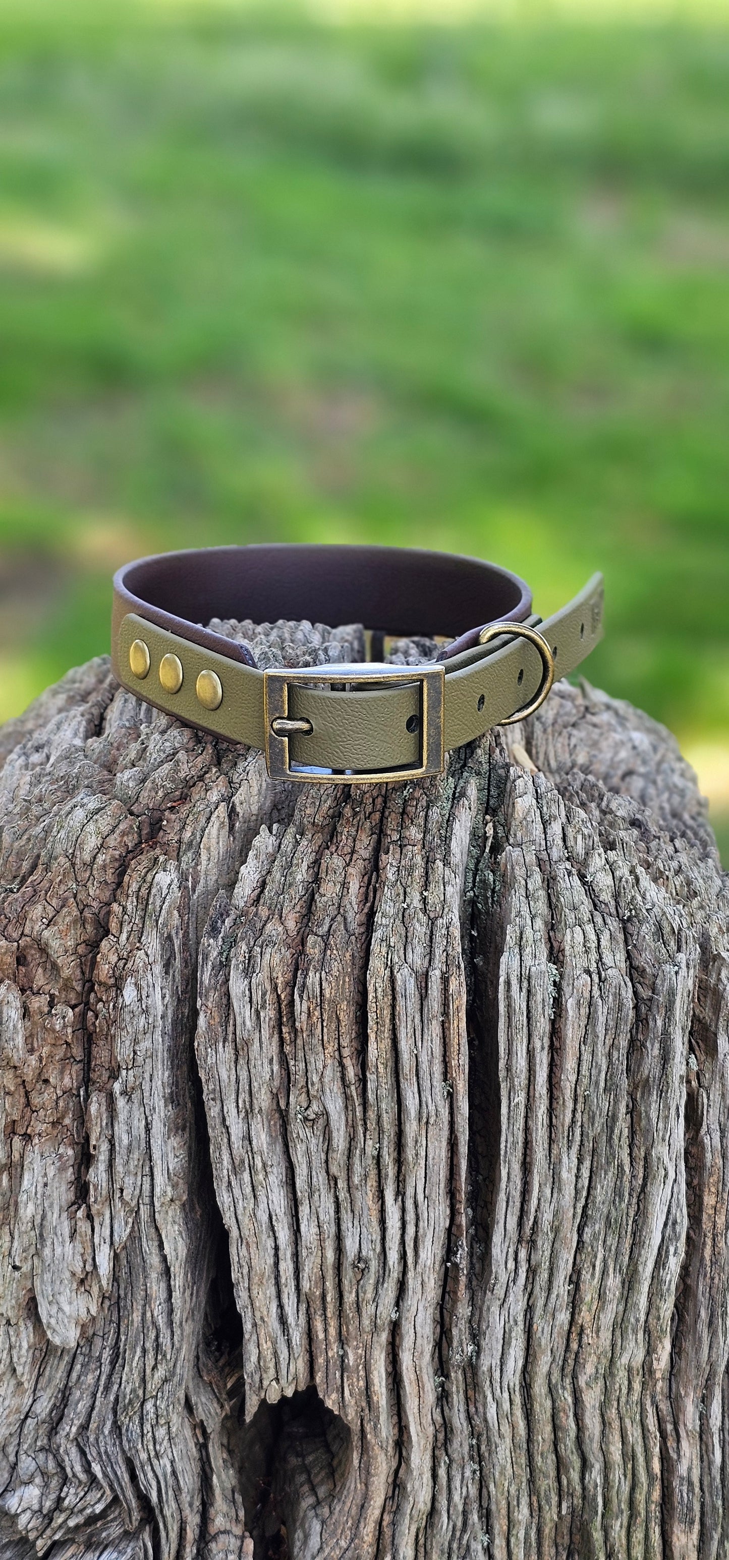 DARK BROWN / OLIVE - Waterproof BioThane© 2-coloured Dog Collar/Lead/Bundle