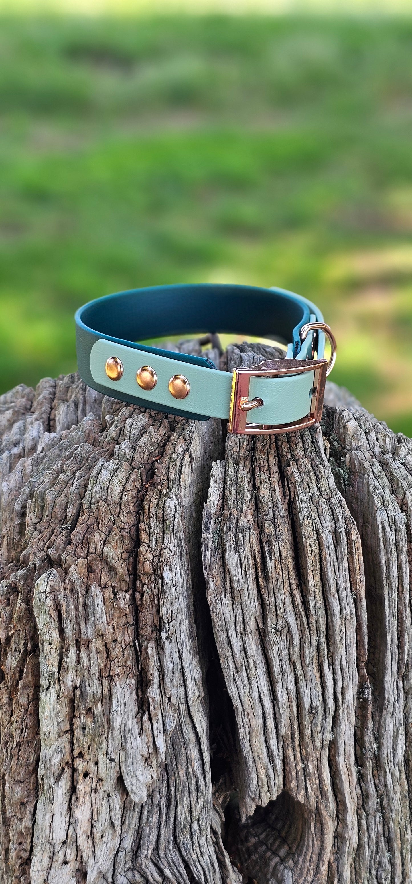 DARK GREEN / SAGE - Waterproof BioThane© 2-coloured Dog Collar/Lead/Bundle