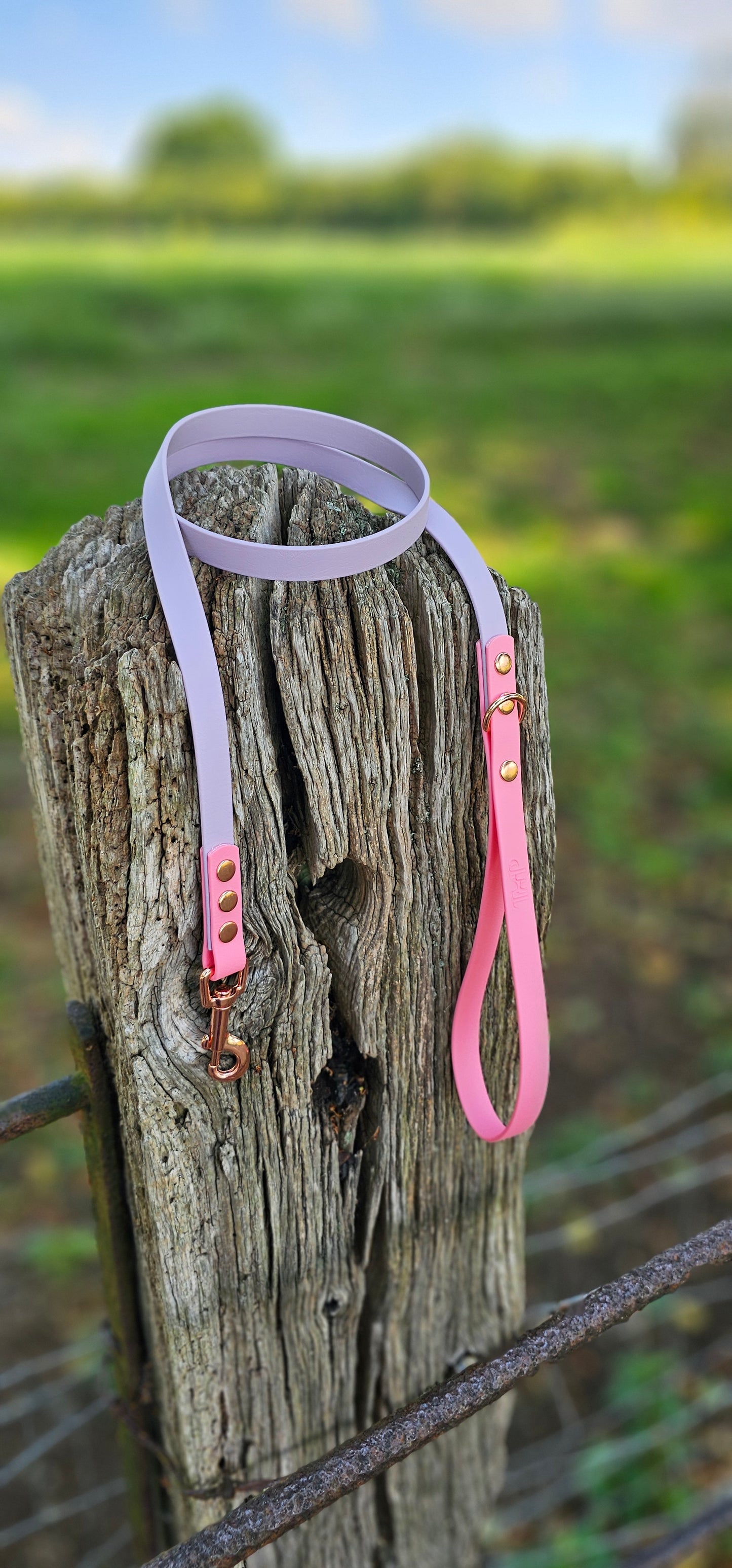 LILAC / BABY PINK - Waterproof BioThane© 2-coloured Dog Collar/Lead/Bundle