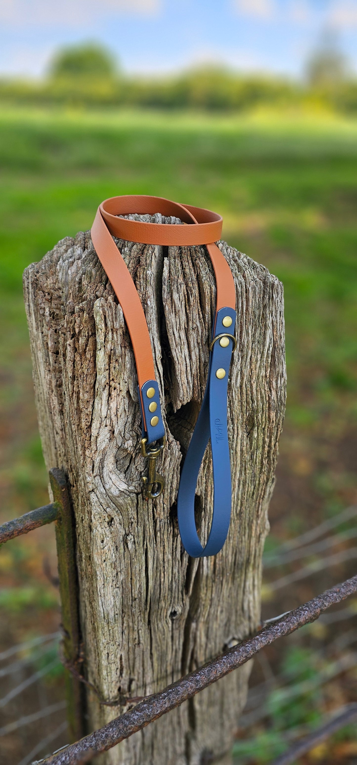 LIGHT BROWN / KEROSENE - Waterproof BioThane© 2-coloured Dog Collar/Lead/Bundle