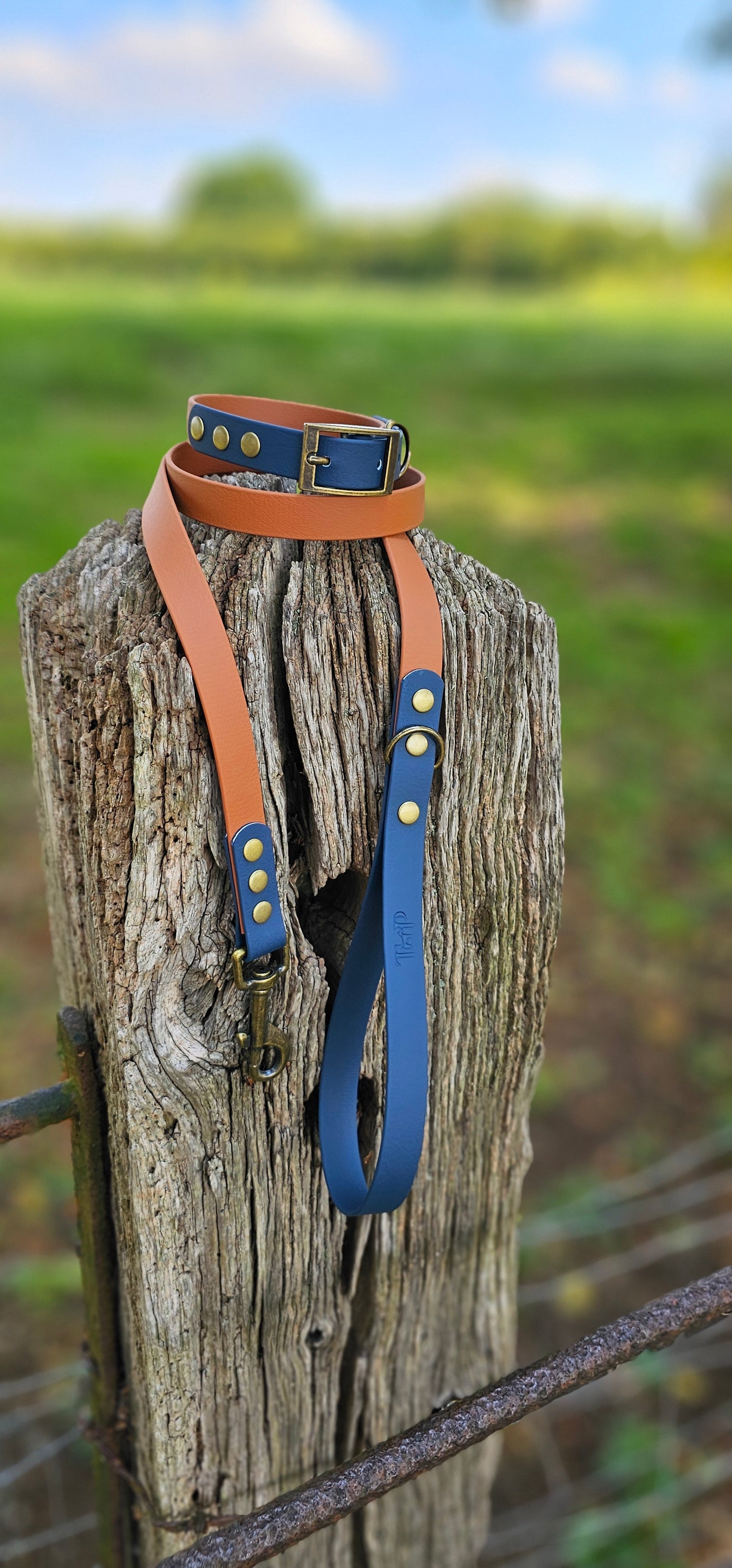 LIGHT BROWN / KEROSENE - Waterproof BioThane© 2-coloured Dog Collar/Lead/Bundle