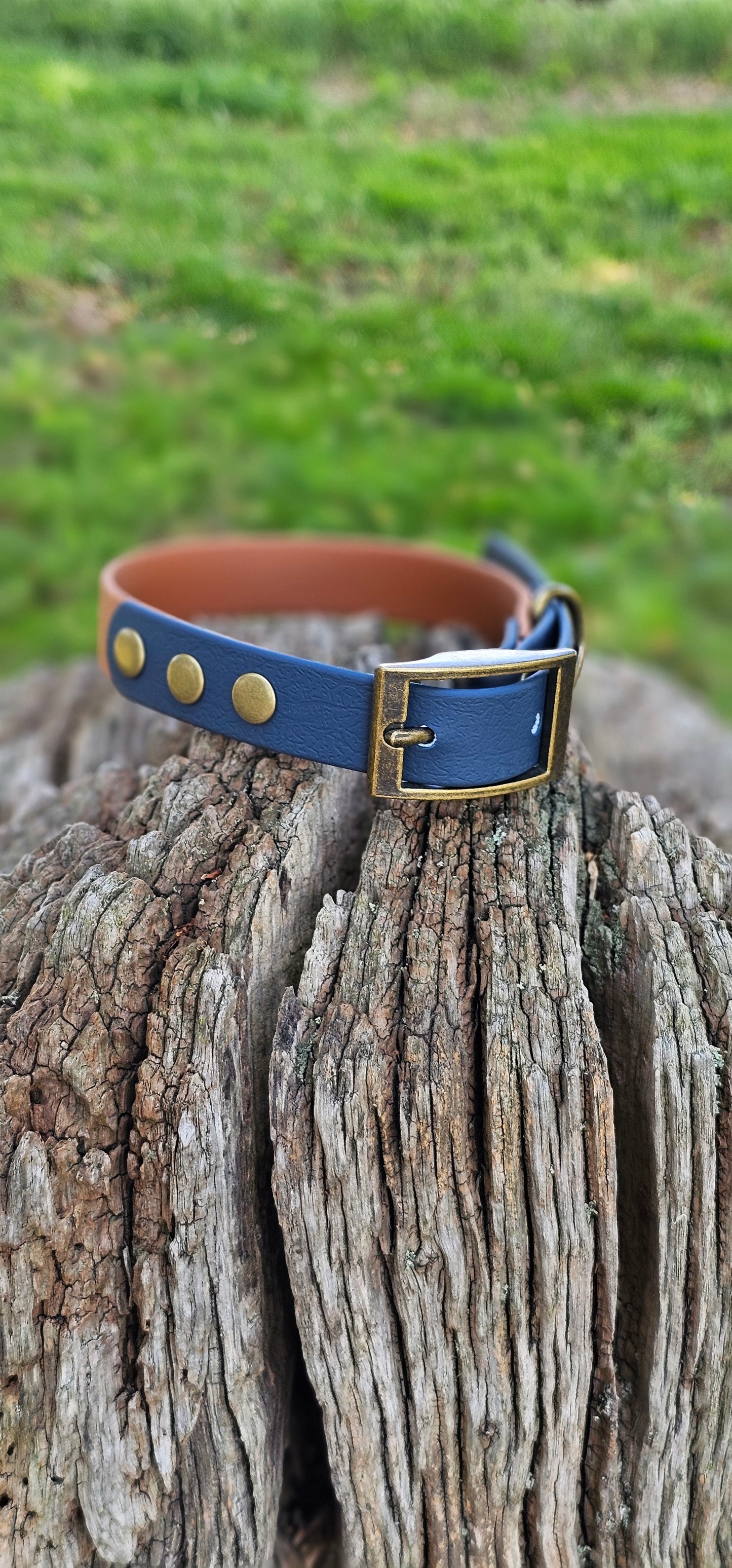 LIGHT BROWN / KEROSENE - Waterproof BioThane© 2-coloured Dog Collar/Lead/Bundle
