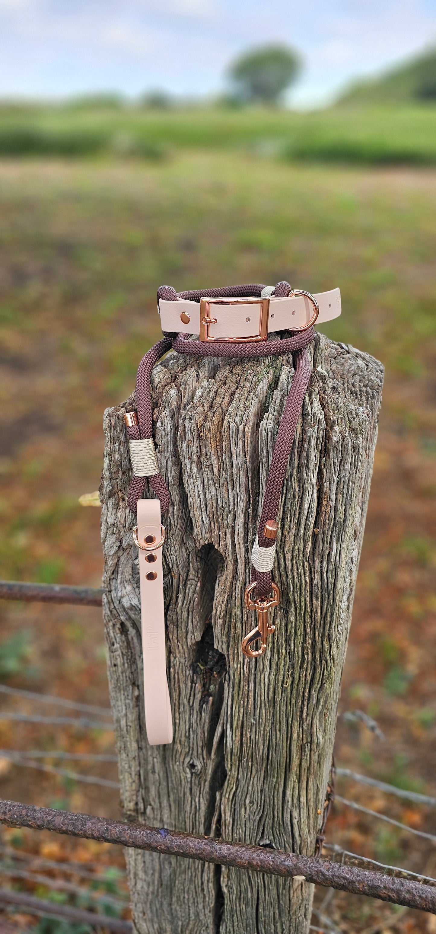 DARK BROWN & POWDER PEARL - Classic Rope BioThane® Dog Lead