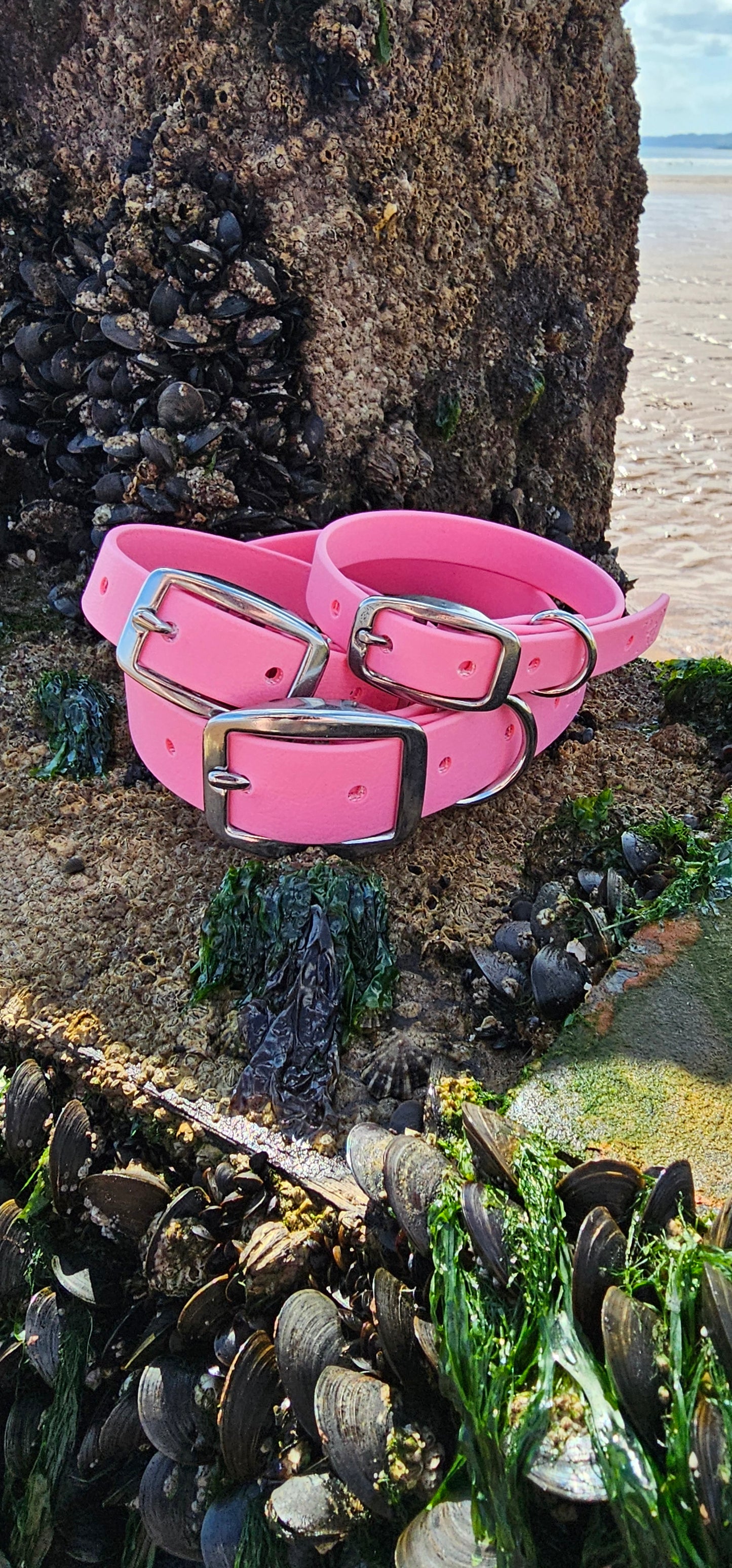 Everlast - Waterproof BioThane® Dog Collars