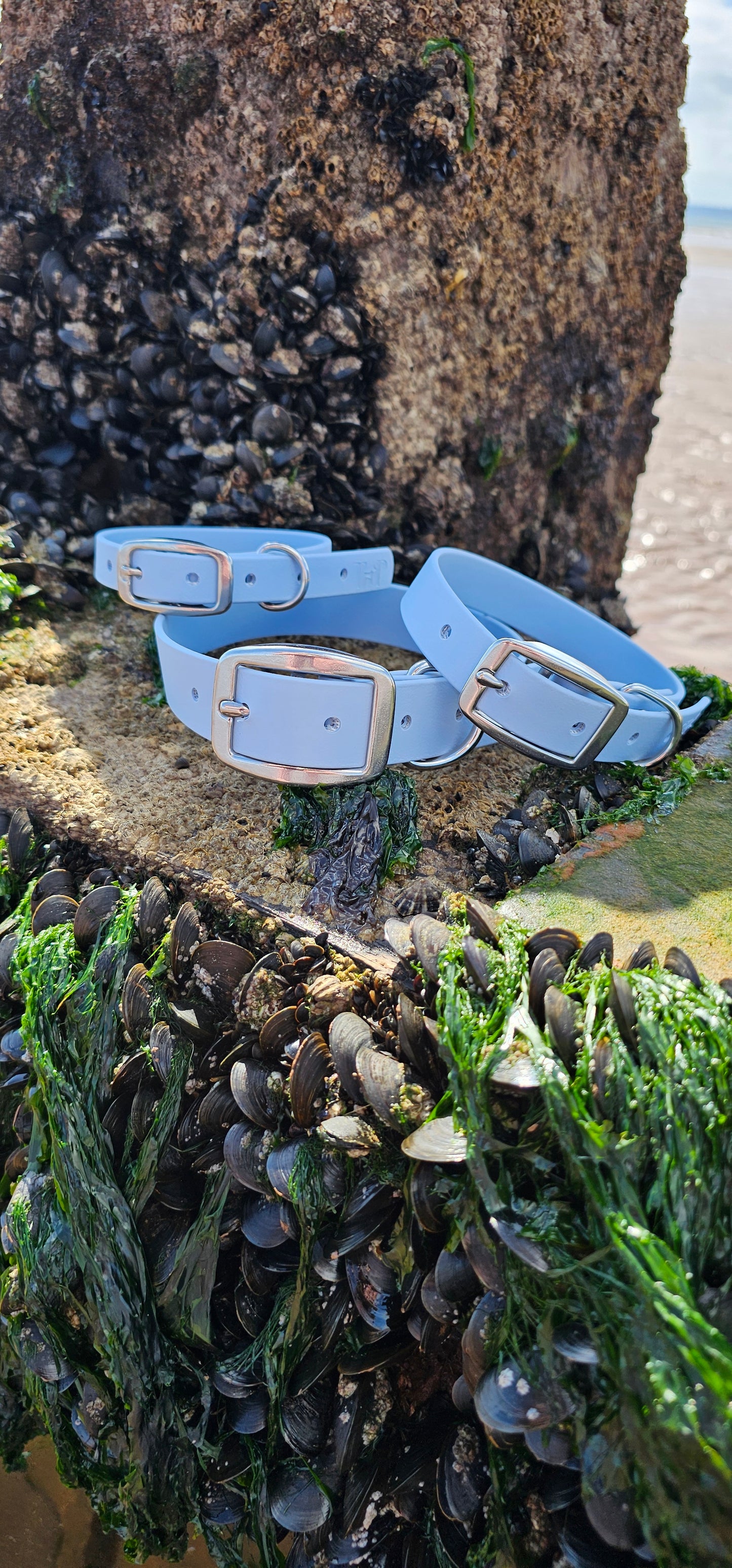 Everlast - Waterproof BioThane® Dog Collars