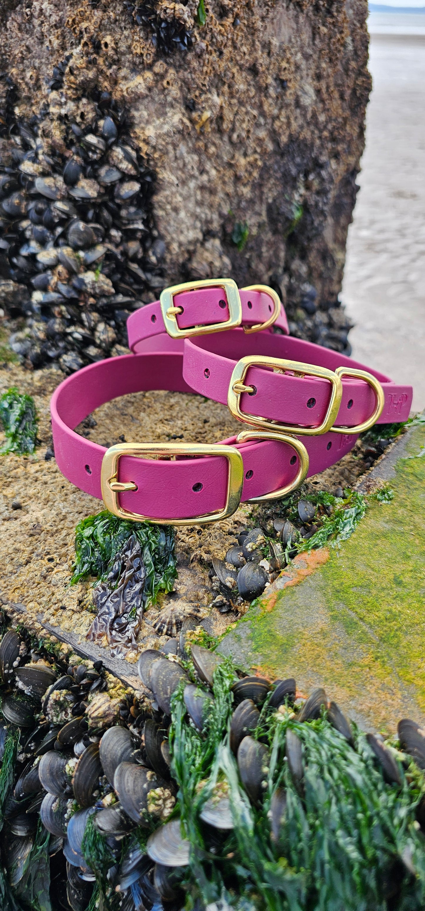 Everlast - Waterproof BioThane® Dog Collars