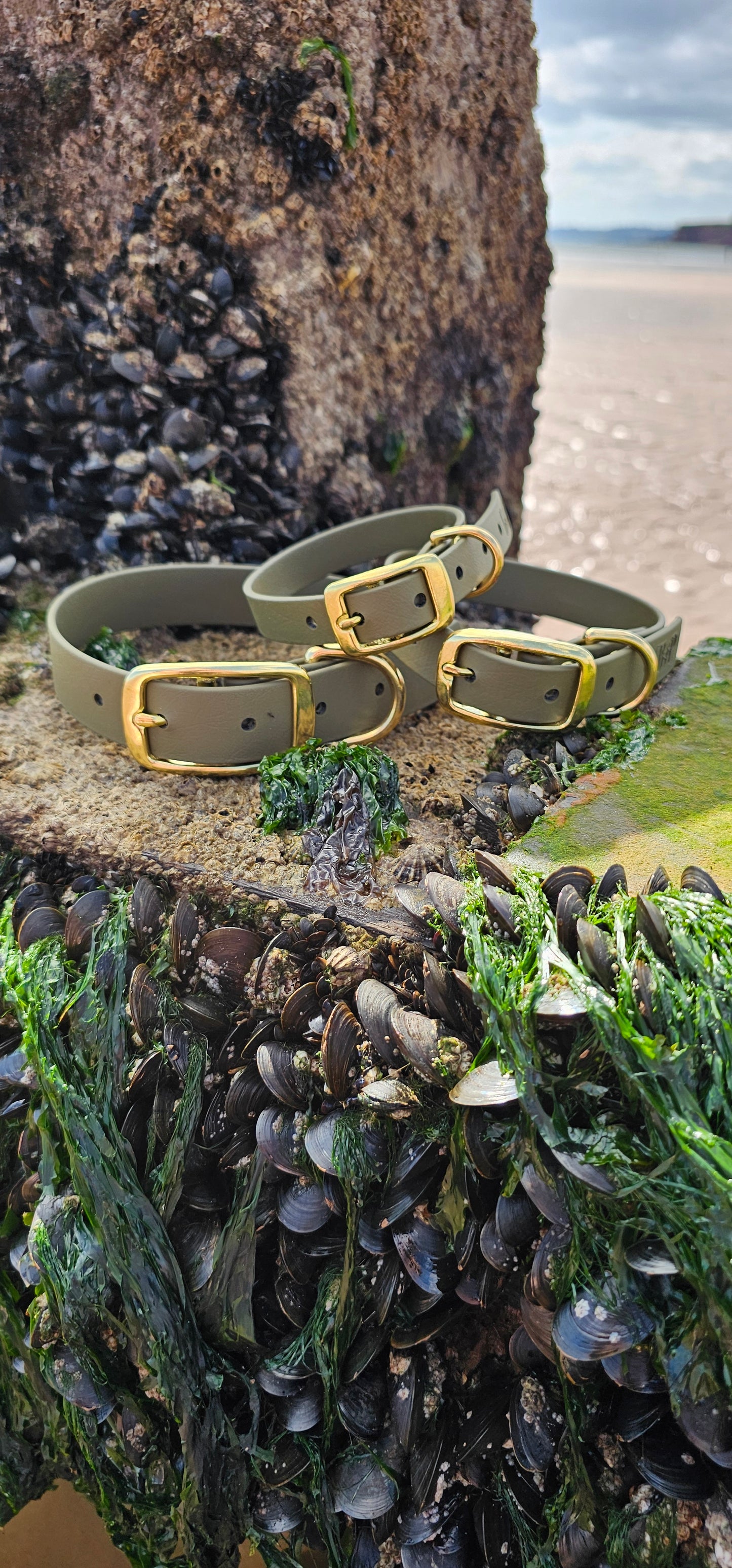 Everlast - Waterproof BioThane® Dog Collars