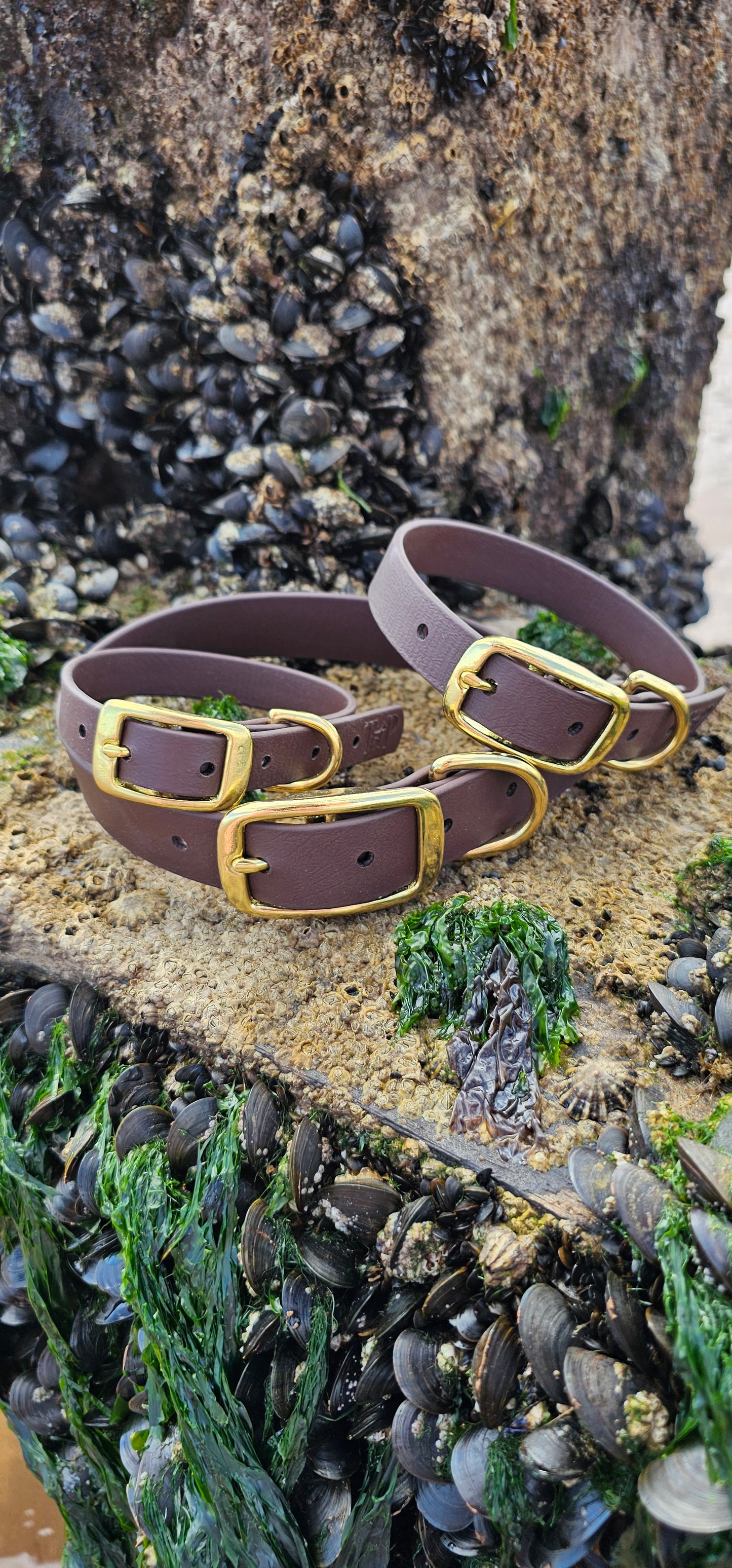 Everlast - Waterproof BioThane® Dog Collars