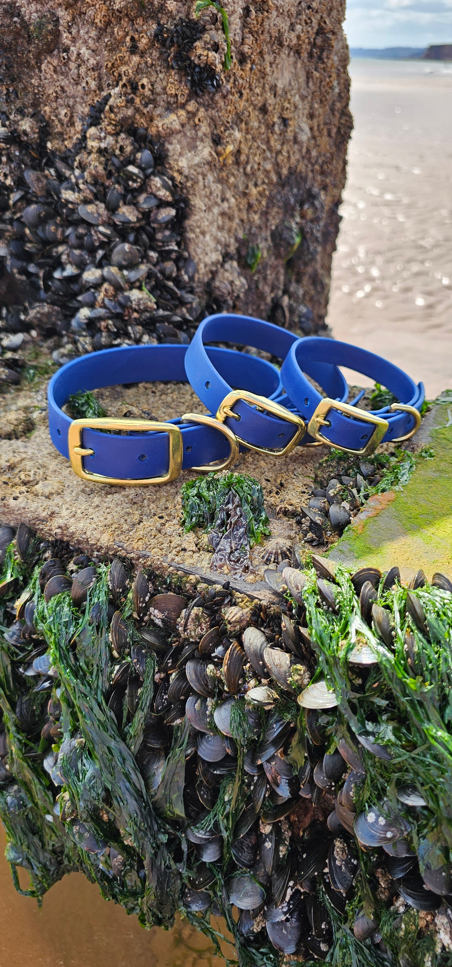 Everlast - Waterproof BioThane® Dog Collars