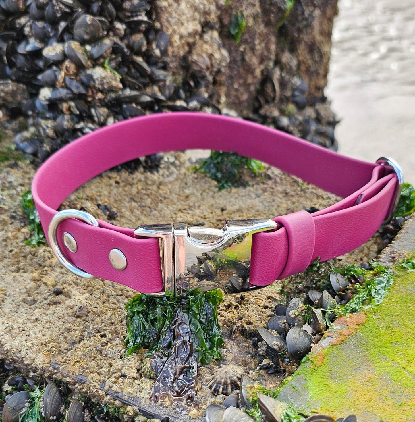 Burgundy Waterproof BioThane® Quick Release Dog Collar