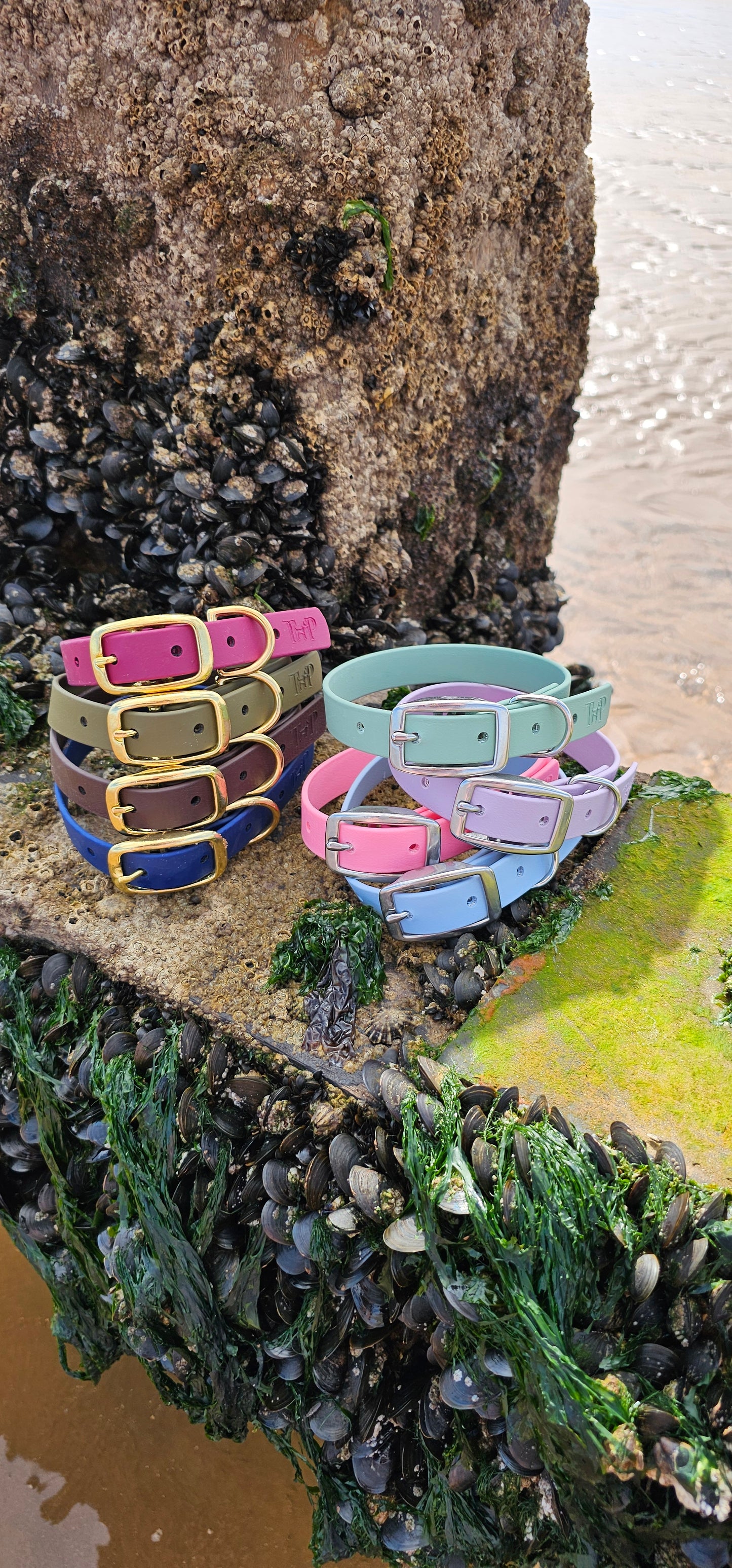 Everlast - Waterproof BioThane® Dog Collars