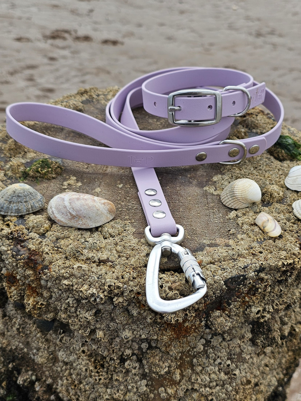Lilac - Everlast Waterproof BioThane© Dog Lead